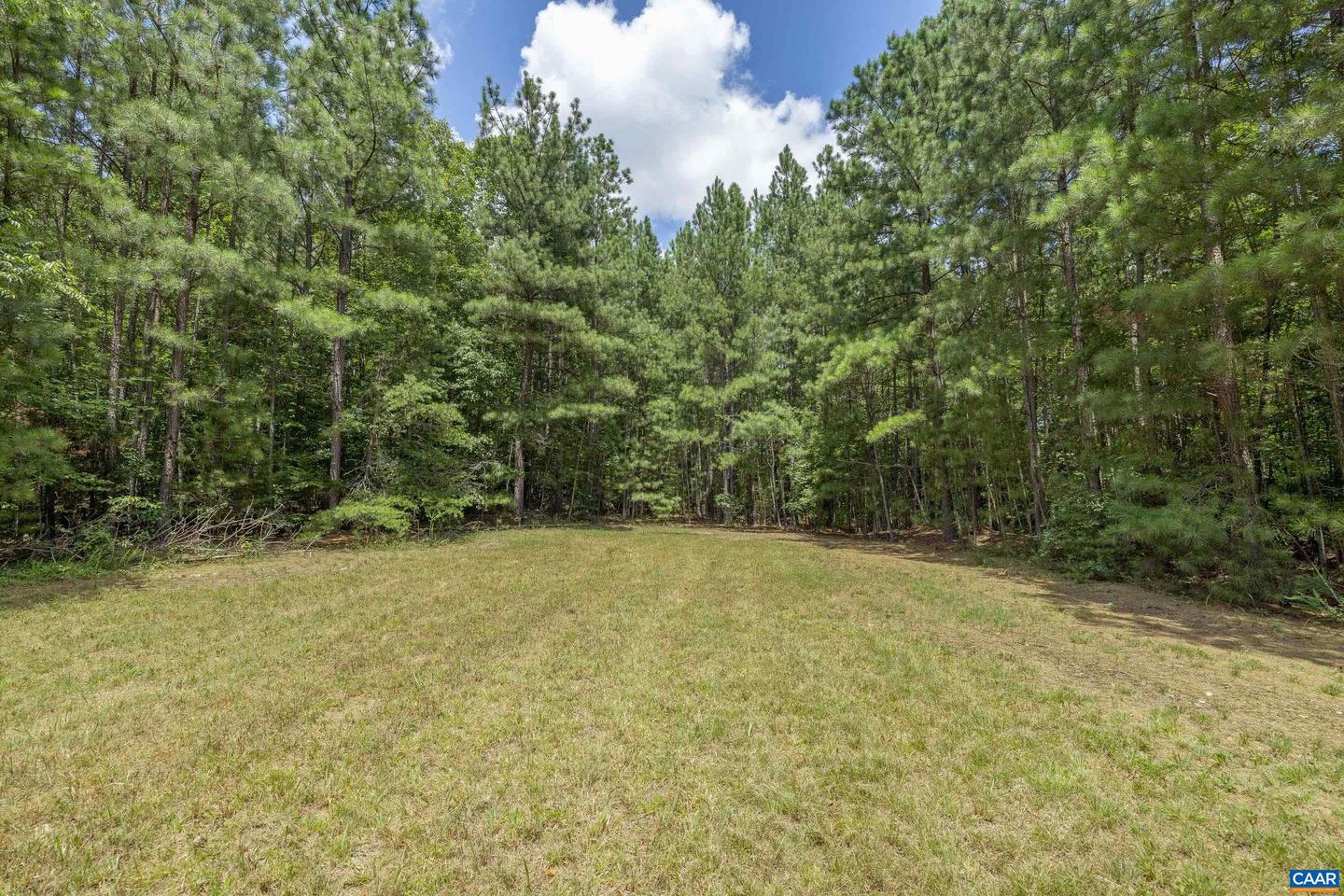 LOTS 1 & 2 S CONSTITUTION RTE, SCOTTSVILLE, Virginia 24590, ,Land,For sale,LOTS 1 & 2 S CONSTITUTION RTE,667263 MLS # 667263
