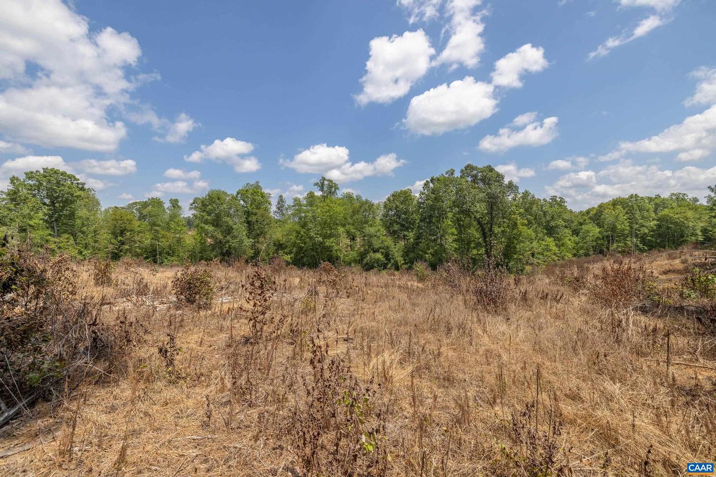 LOTS 1 & 2 S CONSTITUTION RTE, SCOTTSVILLE, Virginia 24590, ,Land,For sale,LOTS 1 & 2 S CONSTITUTION RTE,667263 MLS # 667263