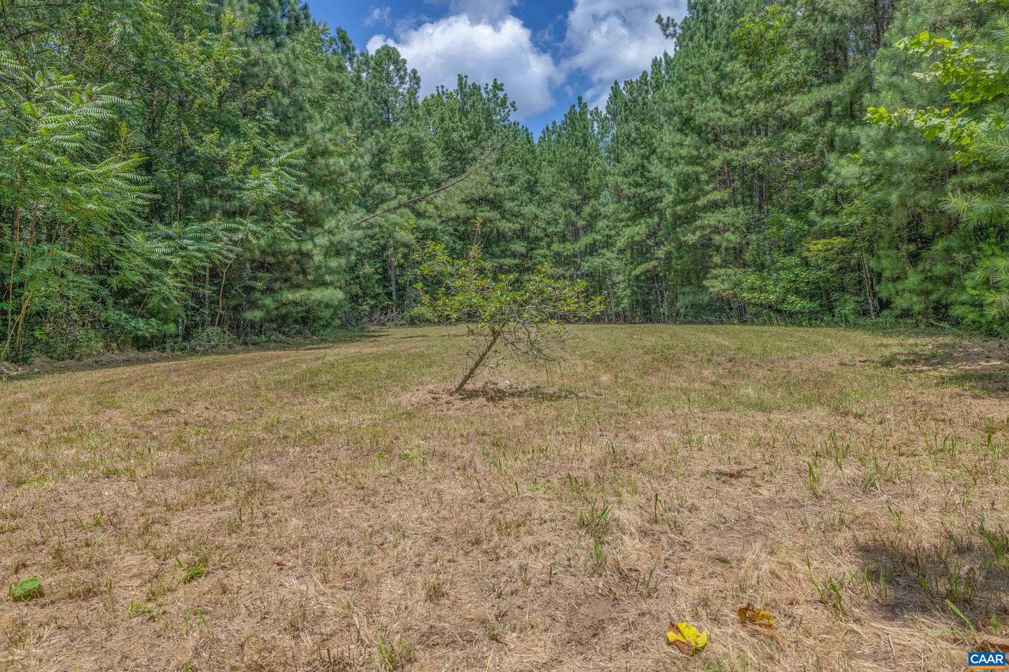 LOTS 1 & 2 S CONSTITUTION RTE, SCOTTSVILLE, Virginia 24590, ,Land,For sale,LOTS 1 & 2 S CONSTITUTION RTE,667263 MLS # 667263