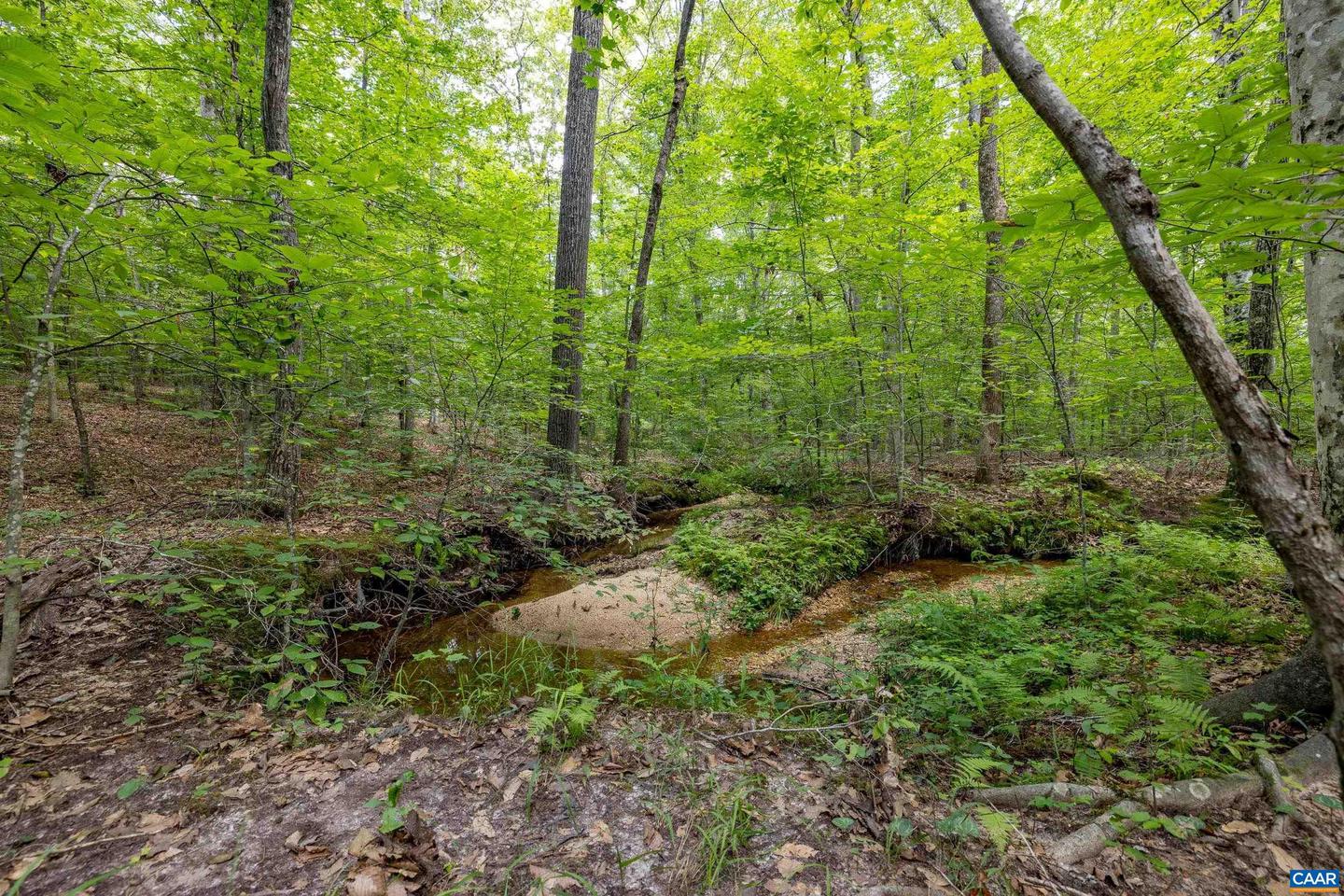 LOTS 1 & 2 S CONSTITUTION RTE, SCOTTSVILLE, Virginia 24590, ,Land,For sale,LOTS 1 & 2 S CONSTITUTION RTE,667263 MLS # 667263