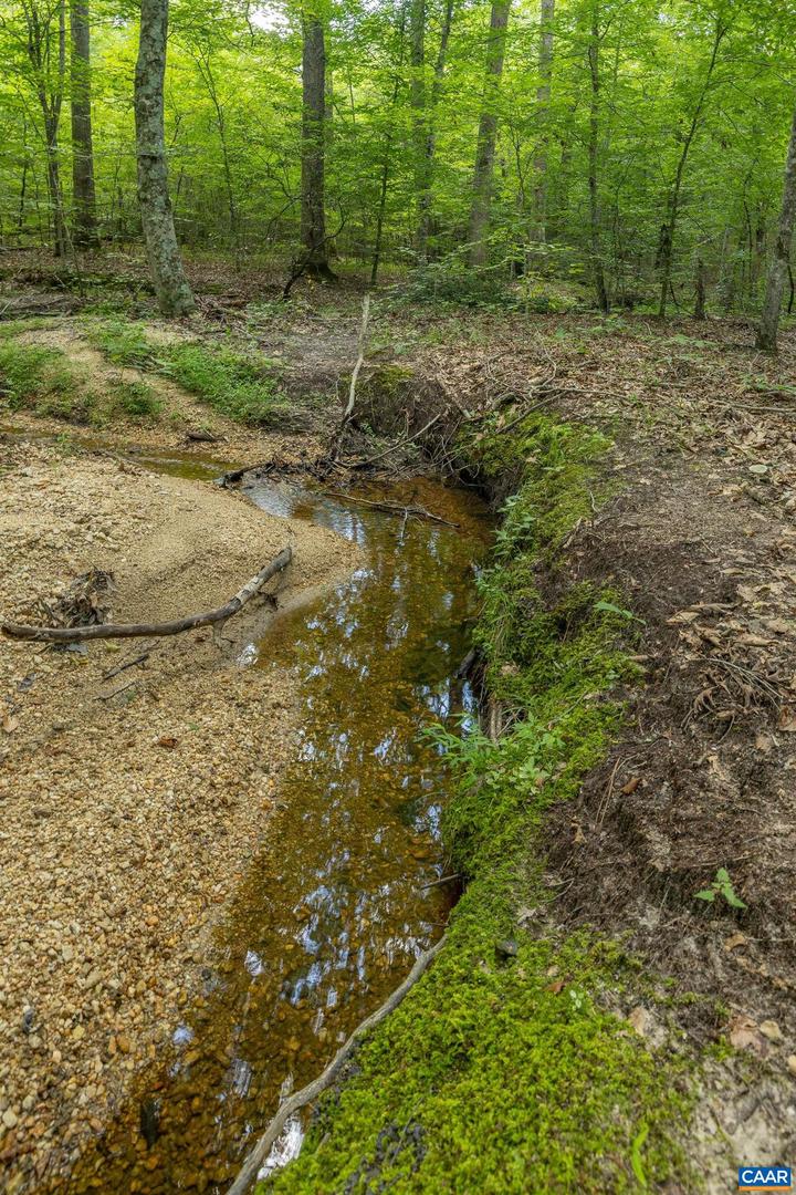 LOTS 1 & 2 S CONSTITUTION RTE, SCOTTSVILLE, Virginia 24590, ,Land,For sale,LOTS 1 & 2 S CONSTITUTION RTE,667263 MLS # 667263