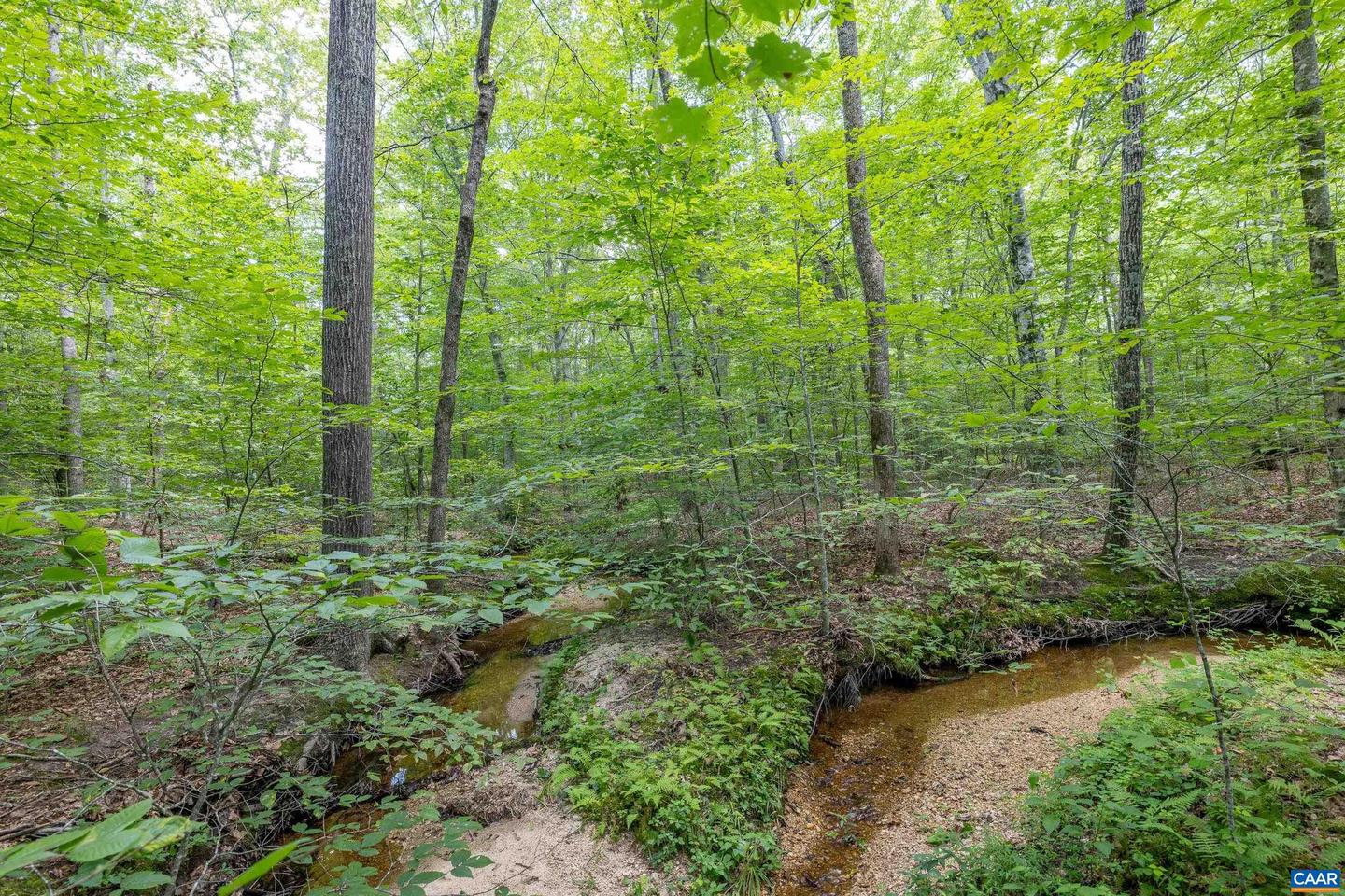 LOTS 1 & 2 S CONSTITUTION RTE, SCOTTSVILLE, Virginia 24590, ,Land,For sale,LOTS 1 & 2 S CONSTITUTION RTE,667263 MLS # 667263