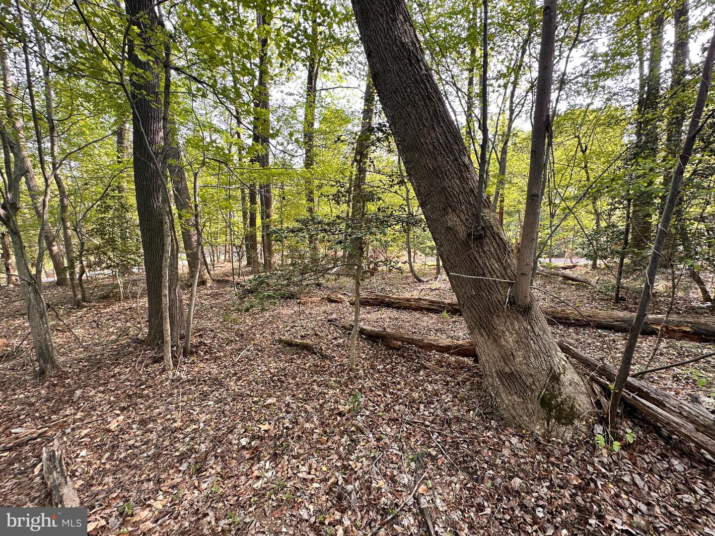 LOT# 140 BISHOP DR, MONTROSS, Virginia 22520, ,Land,For sale,LOT# 140 BISHOP DR,VAWE2009404 MLS # VAWE2009404