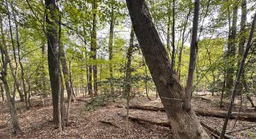 LOT# 140 BISHOP DR, MONTROSS, Virginia 22520, ,Land,For sale,LOT# 140 BISHOP DR,VAWE2009404 MLS # VAWE2009404