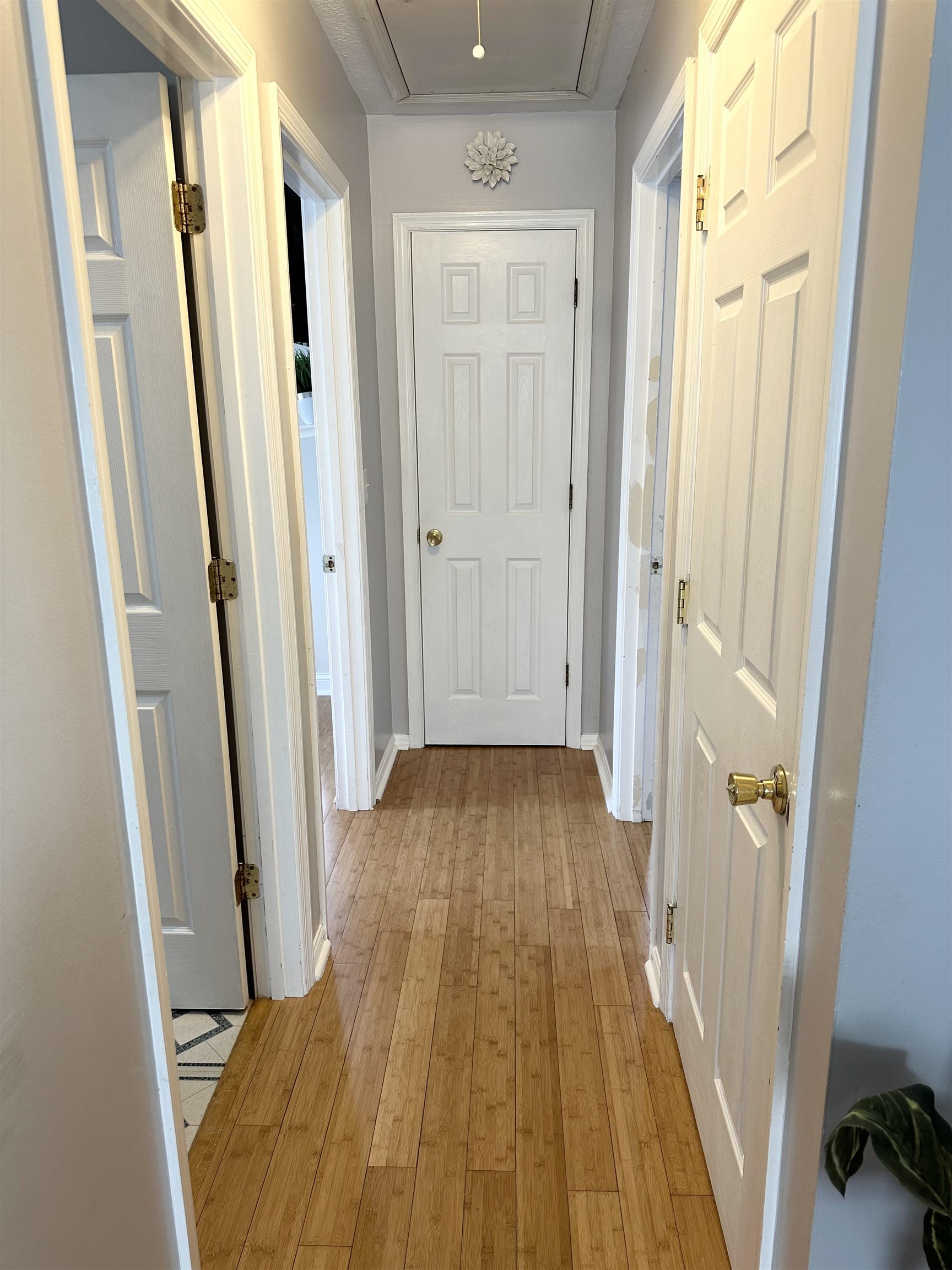 361 HORACE AVE, WAYNESBORO, Virginia 22980, 3 Bedrooms Bedrooms, ,2 BathroomsBathrooms,Residential,361 HORACE AVE,667267 MLS # 667267