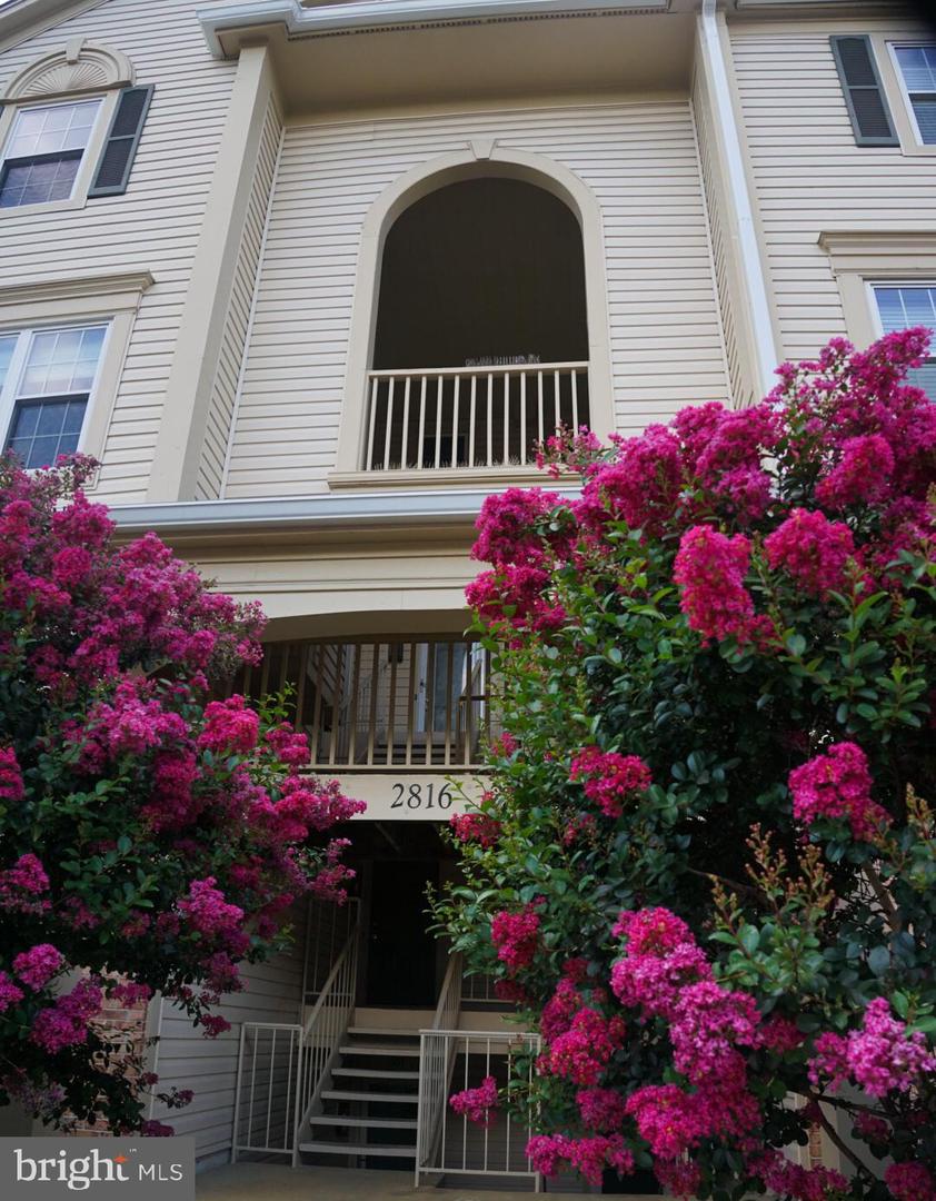 2816 EMMA LEE ST #301, FALLS CHURCH, Virginia 22042, 2 Bedrooms Bedrooms, ,2 BathroomsBathrooms,Residential,For sale,2816 EMMA LEE ST #301,VAFX2246818 MLS # VAFX2246818