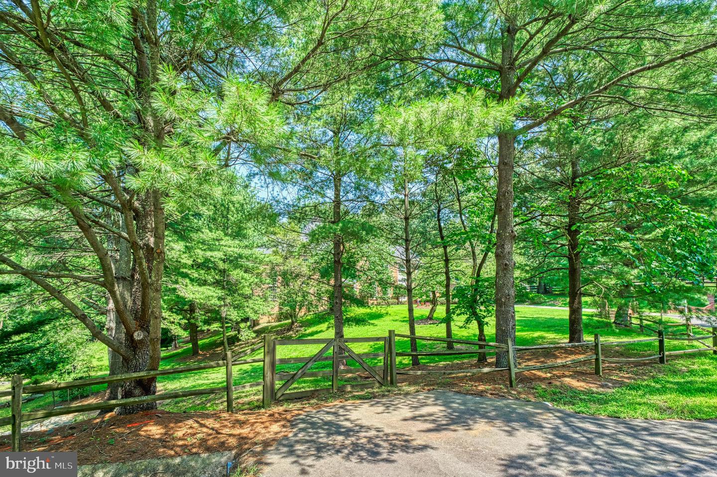 250 GOLDEN WOODS CT, GREAT FALLS, Virginia 22066, 5 Bedrooms Bedrooms, ,4 BathroomsBathrooms,Residential,For sale,250 GOLDEN WOODS CT,VAFX2253842 MLS # VAFX2253842
