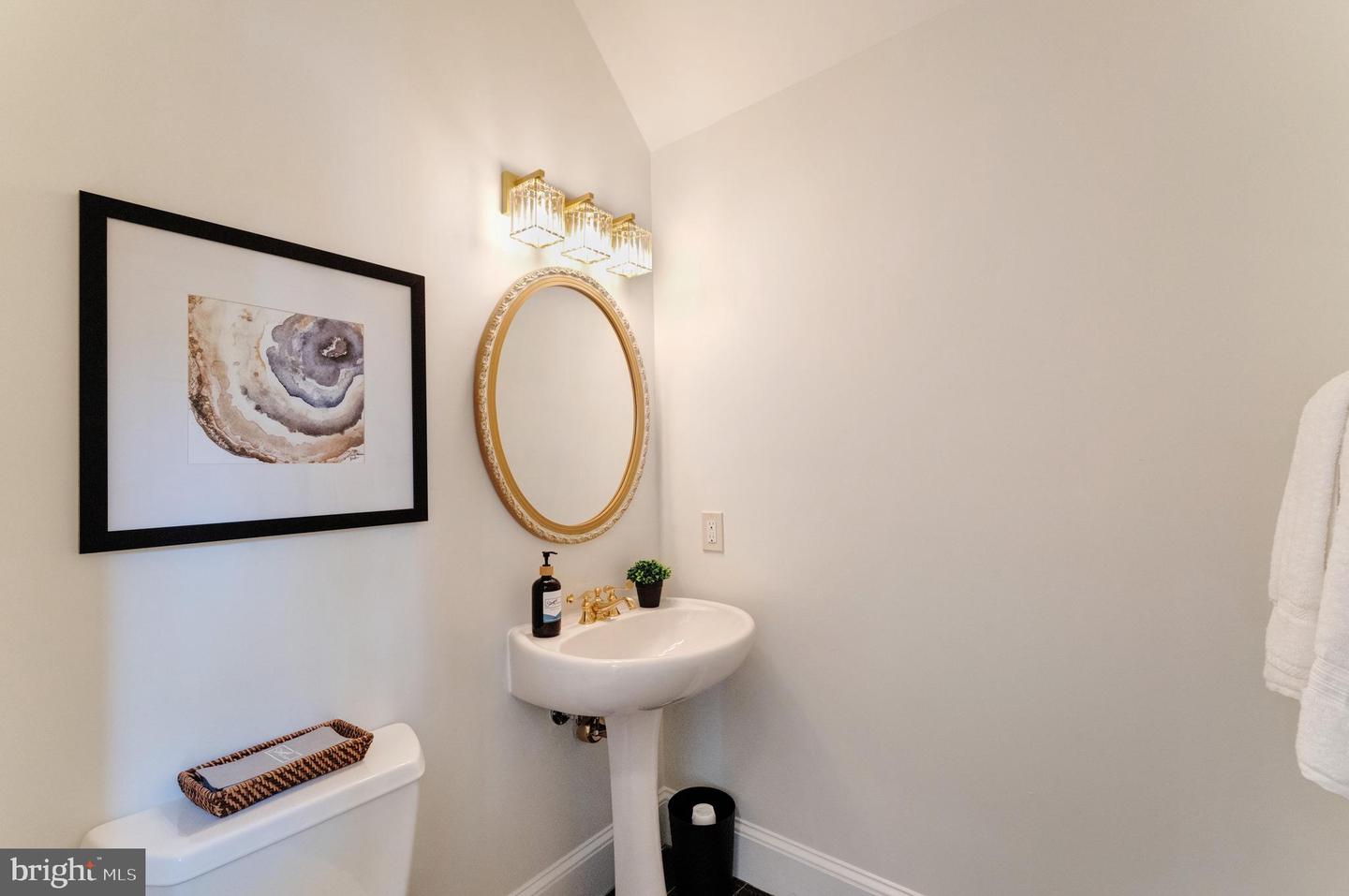 250 GOLDEN WOODS CT, GREAT FALLS, Virginia 22066, 5 Bedrooms Bedrooms, ,4 BathroomsBathrooms,Residential,For sale,250 GOLDEN WOODS CT,VAFX2253842 MLS # VAFX2253842
