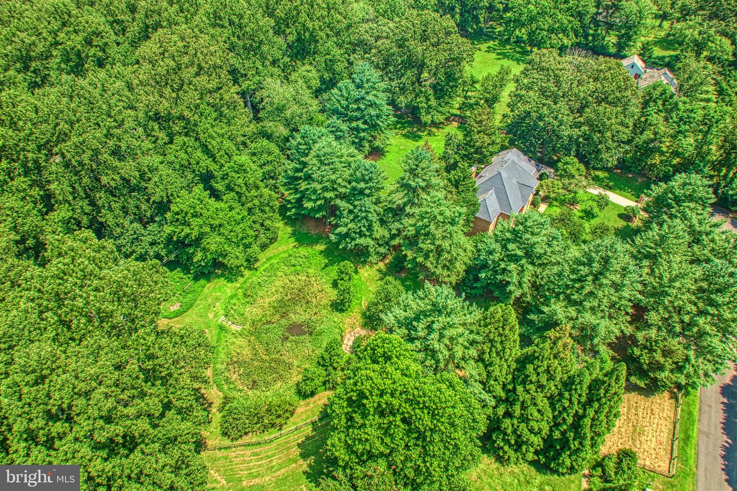 250 GOLDEN WOODS CT, GREAT FALLS, Virginia 22066, 5 Bedrooms Bedrooms, ,4 BathroomsBathrooms,Residential,For sale,250 GOLDEN WOODS CT,VAFX2253842 MLS # VAFX2253842