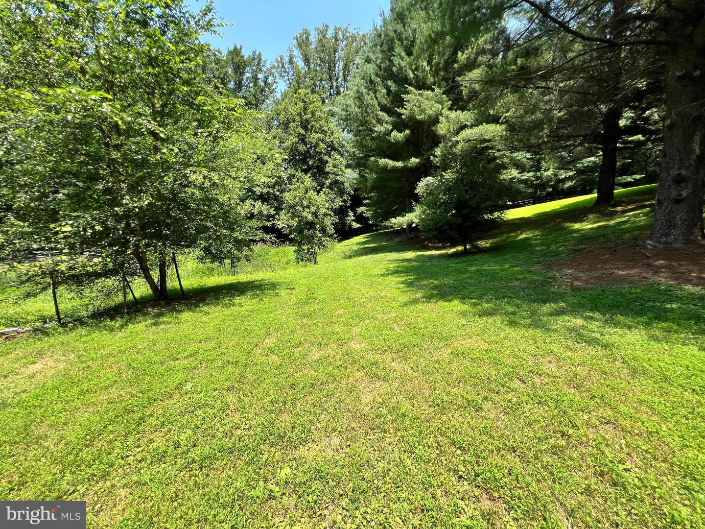 250 GOLDEN WOODS CT, GREAT FALLS, Virginia 22066, 5 Bedrooms Bedrooms, ,4 BathroomsBathrooms,Residential,For sale,250 GOLDEN WOODS CT,VAFX2253842 MLS # VAFX2253842