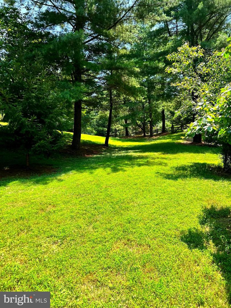 250 GOLDEN WOODS CT, GREAT FALLS, Virginia 22066, 5 Bedrooms Bedrooms, ,4 BathroomsBathrooms,Residential,For sale,250 GOLDEN WOODS CT,VAFX2253842 MLS # VAFX2253842