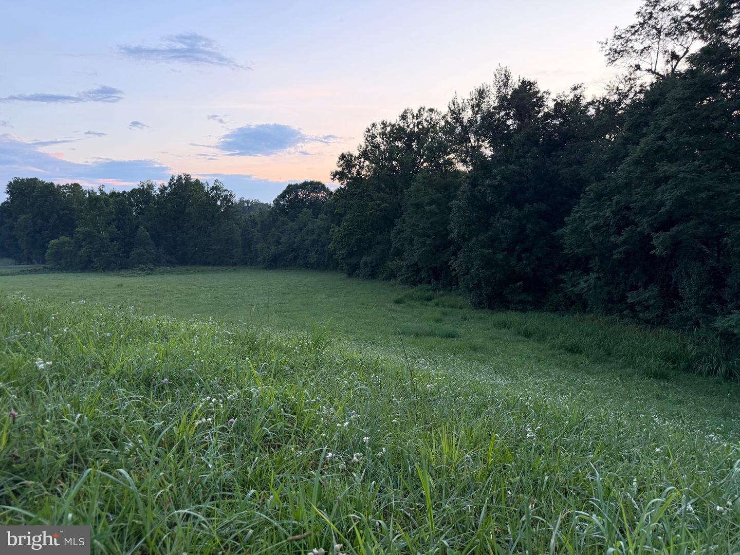 0 NOVUM RD #D, REVA, Virginia 22735, ,Land,For sale,0 NOVUM RD #D,VAMA2002338 MLS # VAMA2002338