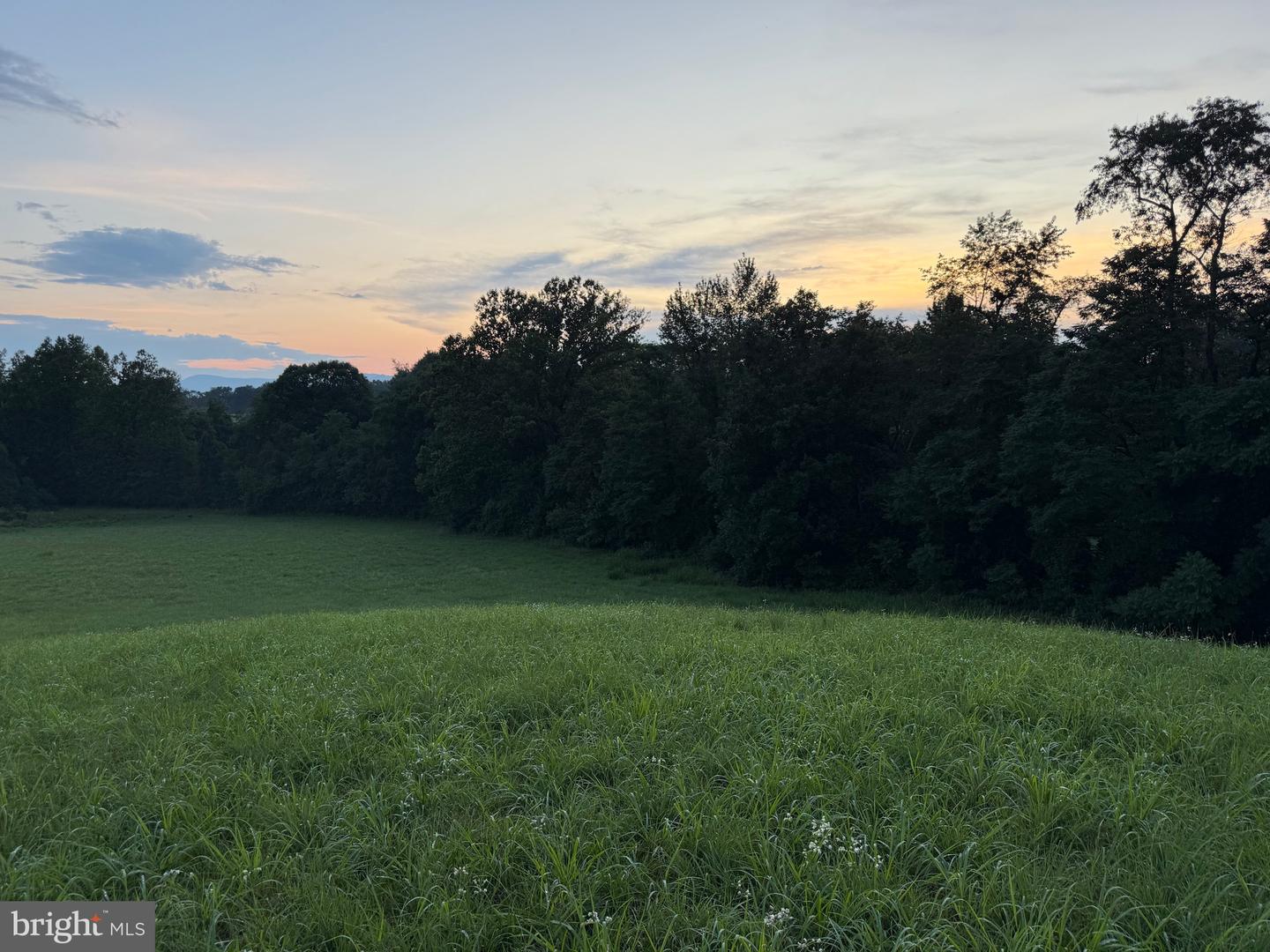 0 NOVUM RD #D, REVA, Virginia 22735, ,Land,For sale,0 NOVUM RD #D,VAMA2002338 MLS # VAMA2002338