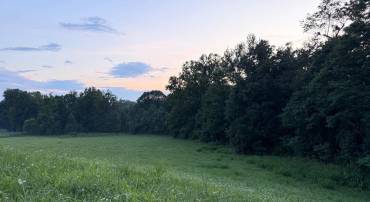 0 NOVUM RD #D, REVA, Virginia 22735, ,Land,For sale,0 NOVUM RD #D,VAMA2002338 MLS # VAMA2002338