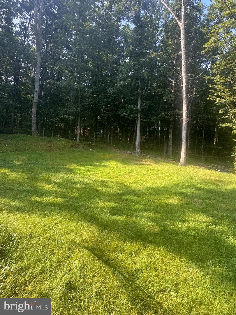 6856 HOWELLSVILLE RD, BOYCE, Virginia 22620, 3 Bedrooms Bedrooms, ,3 BathroomsBathrooms,Residential,For sale,6856 HOWELLSVILLE RD,VACL2005926 MLS # VACL2005926