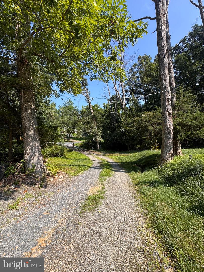 6856 HOWELLSVILLE RD, BOYCE, Virginia 22620, 3 Bedrooms Bedrooms, ,3 BathroomsBathrooms,Residential,For sale,6856 HOWELLSVILLE RD,VACL2005926 MLS # VACL2005926