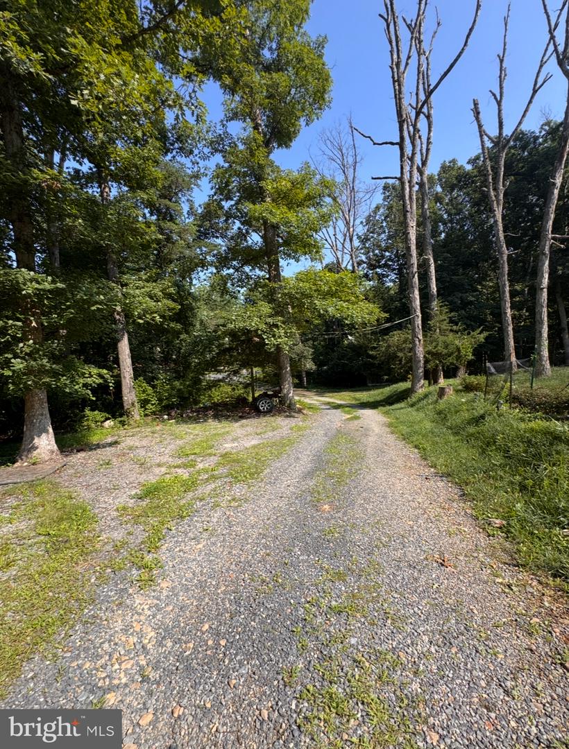 6856 HOWELLSVILLE RD, BOYCE, Virginia 22620, 3 Bedrooms Bedrooms, ,3 BathroomsBathrooms,Residential,For sale,6856 HOWELLSVILLE RD,VACL2005926 MLS # VACL2005926