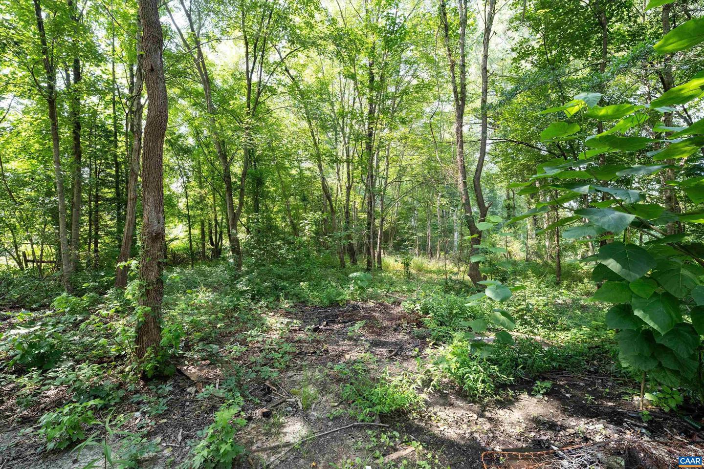 2810 RICHMOND RD, TROY, Virginia 22974, 5 Bedrooms Bedrooms, ,2 BathroomsBathrooms,Residential,For sale,2810 RICHMOND RD,667237 MLS # 667237