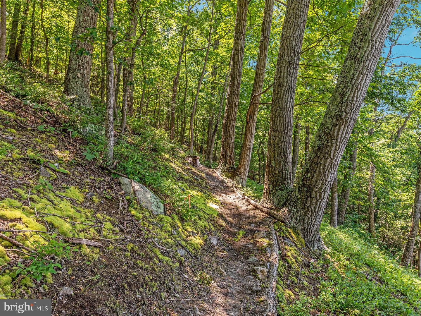 4327 EBENEZER RD, BLUEMONT, Virginia 20135, 3 Bedrooms Bedrooms, ,1 BathroomBathrooms,Residential,For sale,4327 EBENEZER RD,VACL2005908 MLS # VACL2005908