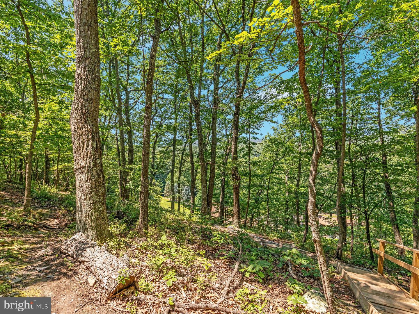 4327 EBENEZER RD, BLUEMONT, Virginia 20135, 3 Bedrooms Bedrooms, ,1 BathroomBathrooms,Residential,For sale,4327 EBENEZER RD,VACL2005908 MLS # VACL2005908