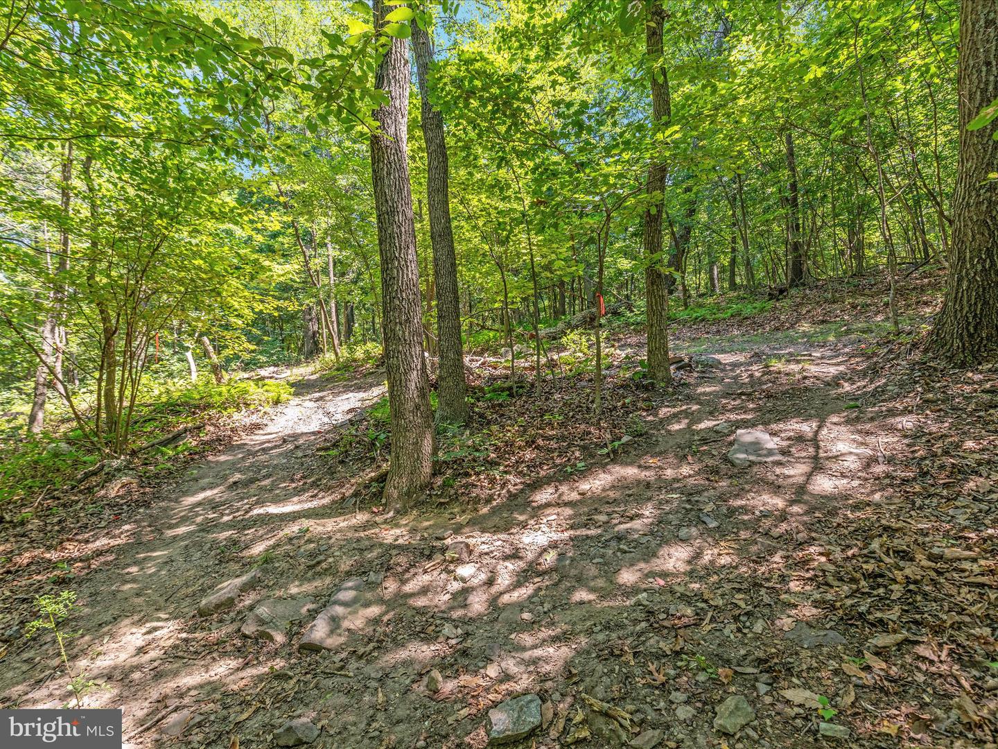 4327 EBENEZER RD, BLUEMONT, Virginia 20135, 3 Bedrooms Bedrooms, ,1 BathroomBathrooms,Residential,For sale,4327 EBENEZER RD,VACL2005908 MLS # VACL2005908