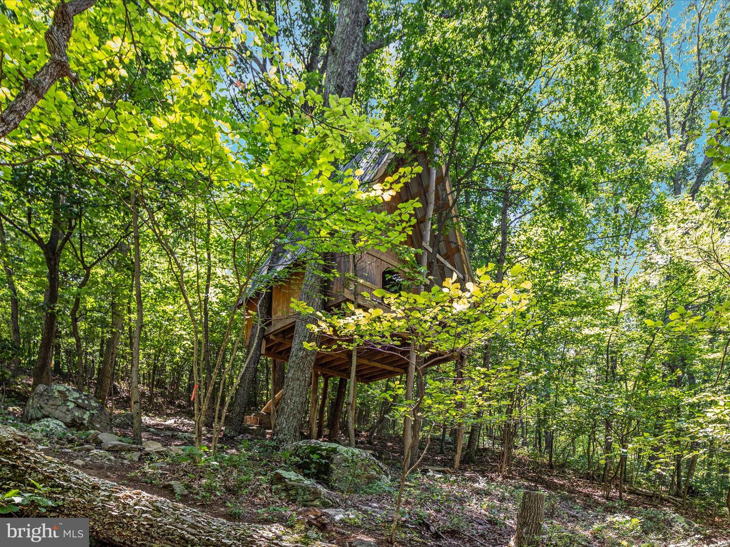 4327 EBENEZER RD, BLUEMONT, Virginia 20135, 3 Bedrooms Bedrooms, ,1 BathroomBathrooms,Residential,For sale,4327 EBENEZER RD,VACL2005908 MLS # VACL2005908