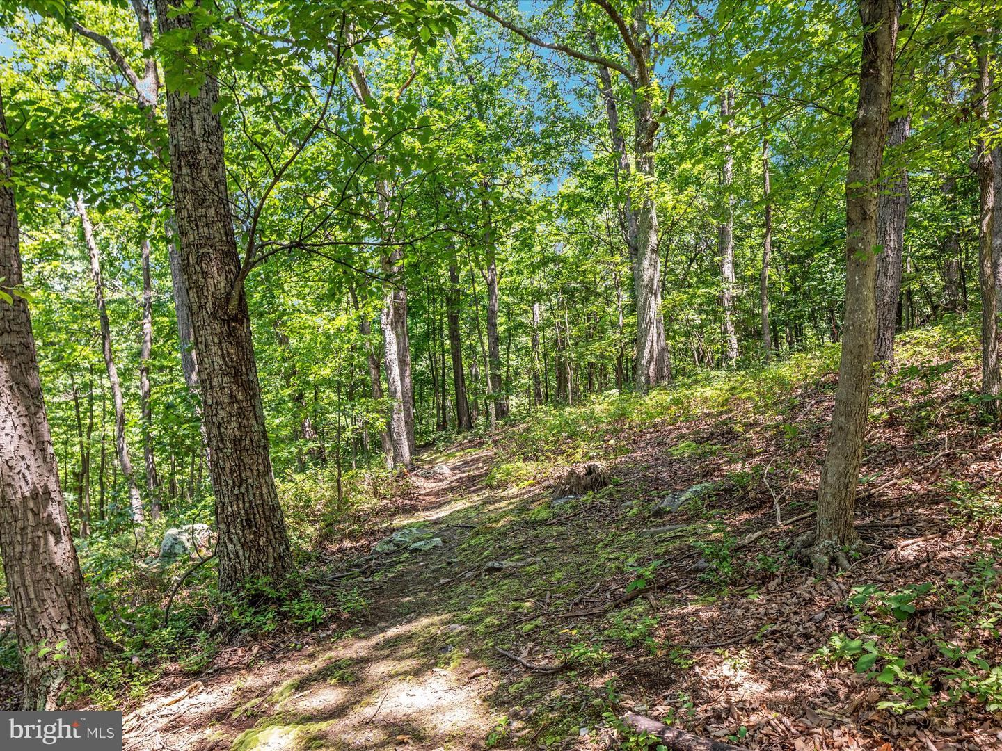 4327 EBENEZER RD, BLUEMONT, Virginia 20135, 3 Bedrooms Bedrooms, ,1 BathroomBathrooms,Residential,For sale,4327 EBENEZER RD,VACL2005908 MLS # VACL2005908