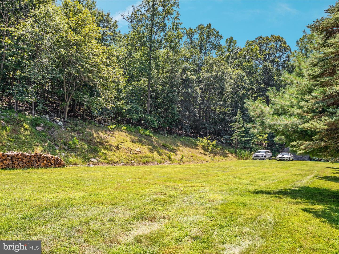 4327 EBENEZER RD, BLUEMONT, Virginia 20135, 3 Bedrooms Bedrooms, ,1 BathroomBathrooms,Residential,For sale,4327 EBENEZER RD,VACL2005908 MLS # VACL2005908