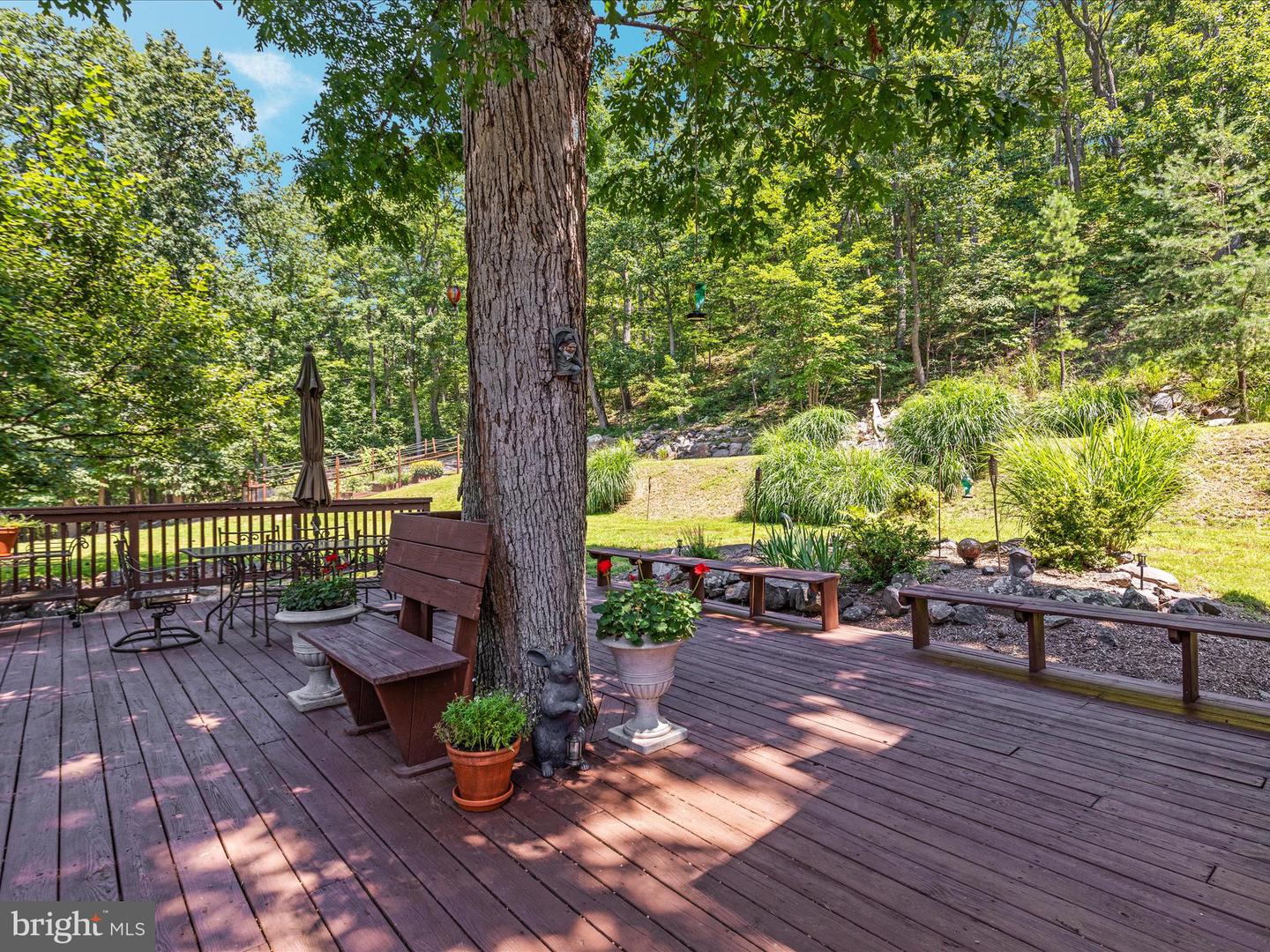4327 EBENEZER RD, BLUEMONT, Virginia 20135, 3 Bedrooms Bedrooms, ,1 BathroomBathrooms,Residential,For sale,4327 EBENEZER RD,VACL2005908 MLS # VACL2005908