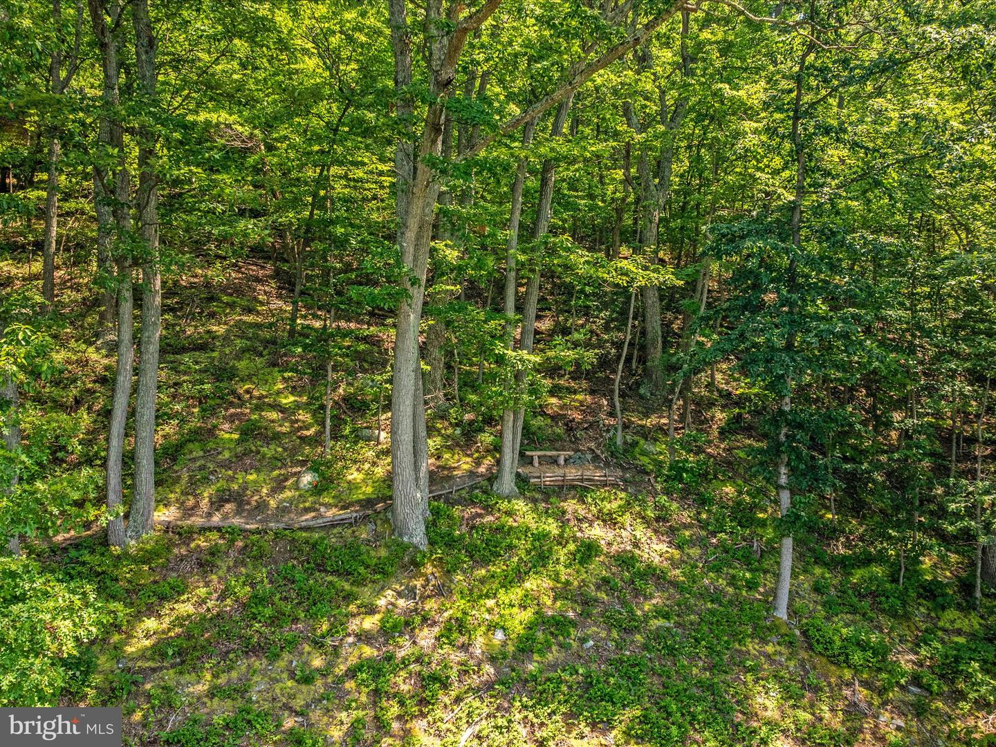 4327 EBENEZER RD, BLUEMONT, Virginia 20135, 3 Bedrooms Bedrooms, ,1 BathroomBathrooms,Residential,For sale,4327 EBENEZER RD,VACL2005908 MLS # VACL2005908