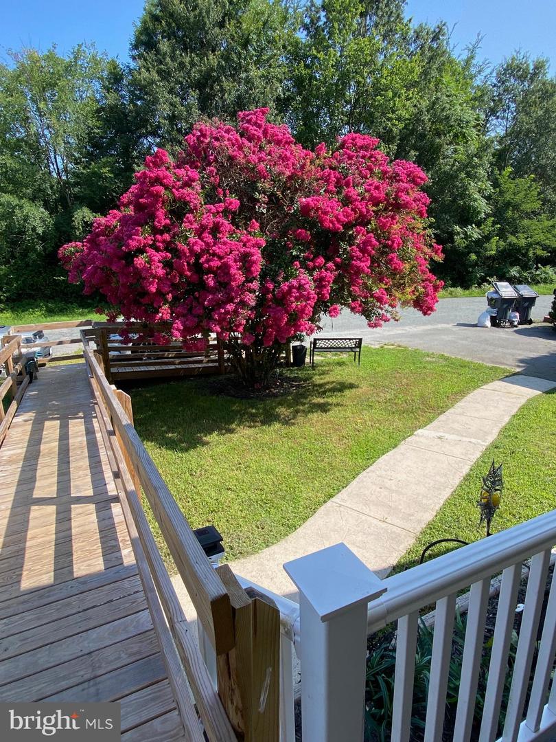 17212 MULBERRY LN, BOWLING GREEN, Virginia 22427, 3 Bedrooms Bedrooms, 8 Rooms Rooms,1 BathroomBathrooms,Residential,For sale,17212 MULBERRY LN,VACV2008578 MLS # VACV2008578