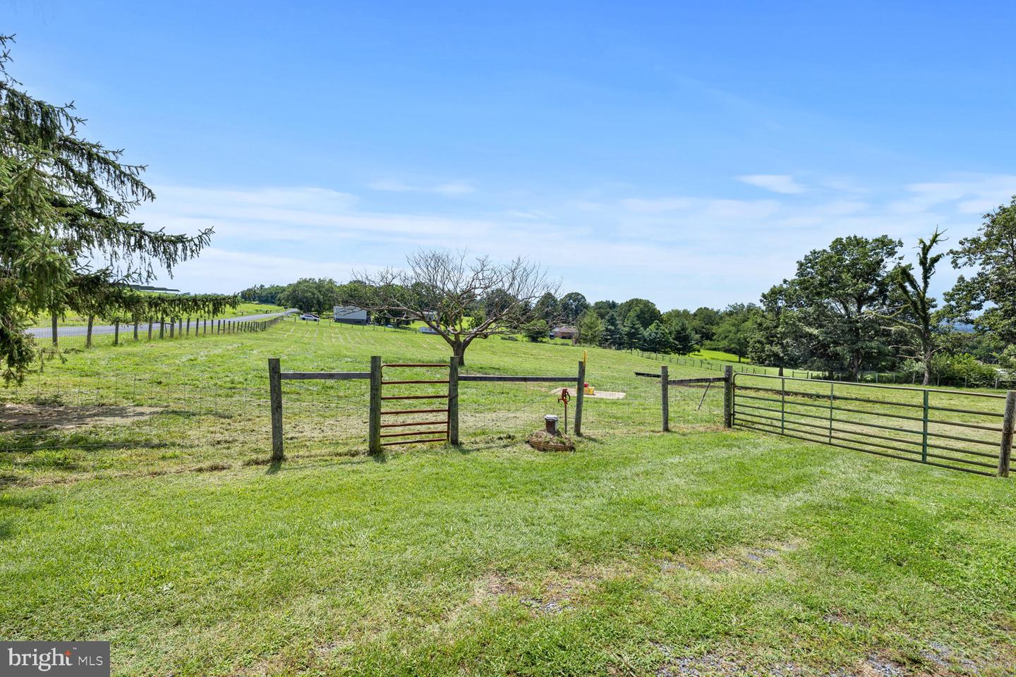 1275 GEORGETOWN RD, MOUNT JACKSON, Virginia 22842, 3 Bedrooms Bedrooms, 8 Rooms Rooms,1 BathroomBathrooms,Residential,For sale,1275 GEORGETOWN RD,VASH2012108 MLS # VASH2012108