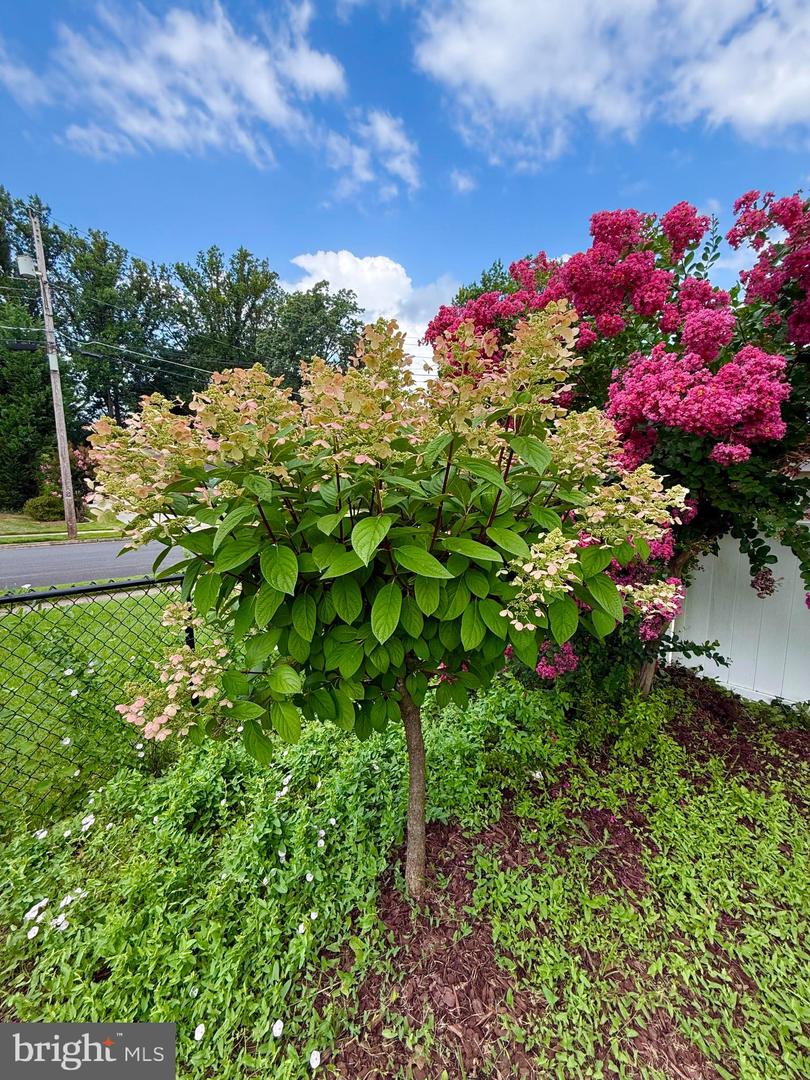 5413 IVES PL, SPRINGFIELD, Virginia 22151, 3 Bedrooms Bedrooms, ,1 BathroomBathrooms,Residential,For sale,5413 IVES PL,VAFX2257976 MLS # VAFX2257976