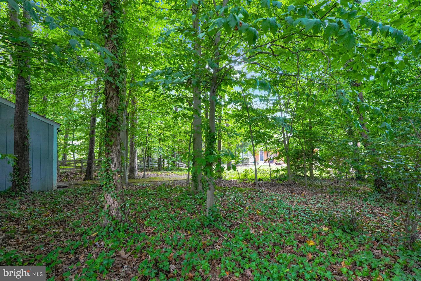 4121 SLEEPY HOLLOW RD, ANNANDALE, Virginia 22003, 4 Bedrooms Bedrooms, ,3 BathroomsBathrooms,Residential,For sale,4121 SLEEPY HOLLOW RD,VAFX2258170 MLS # VAFX2258170
