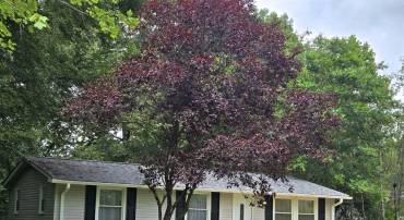 18113 VIP JON RD, RUTHER GLEN, Virginia 22546, 3 Bedrooms Bedrooms, ,1 BathroomBathrooms,Residential,For sale,18113 VIP JON RD,VACV2008598 MLS # VACV2008598