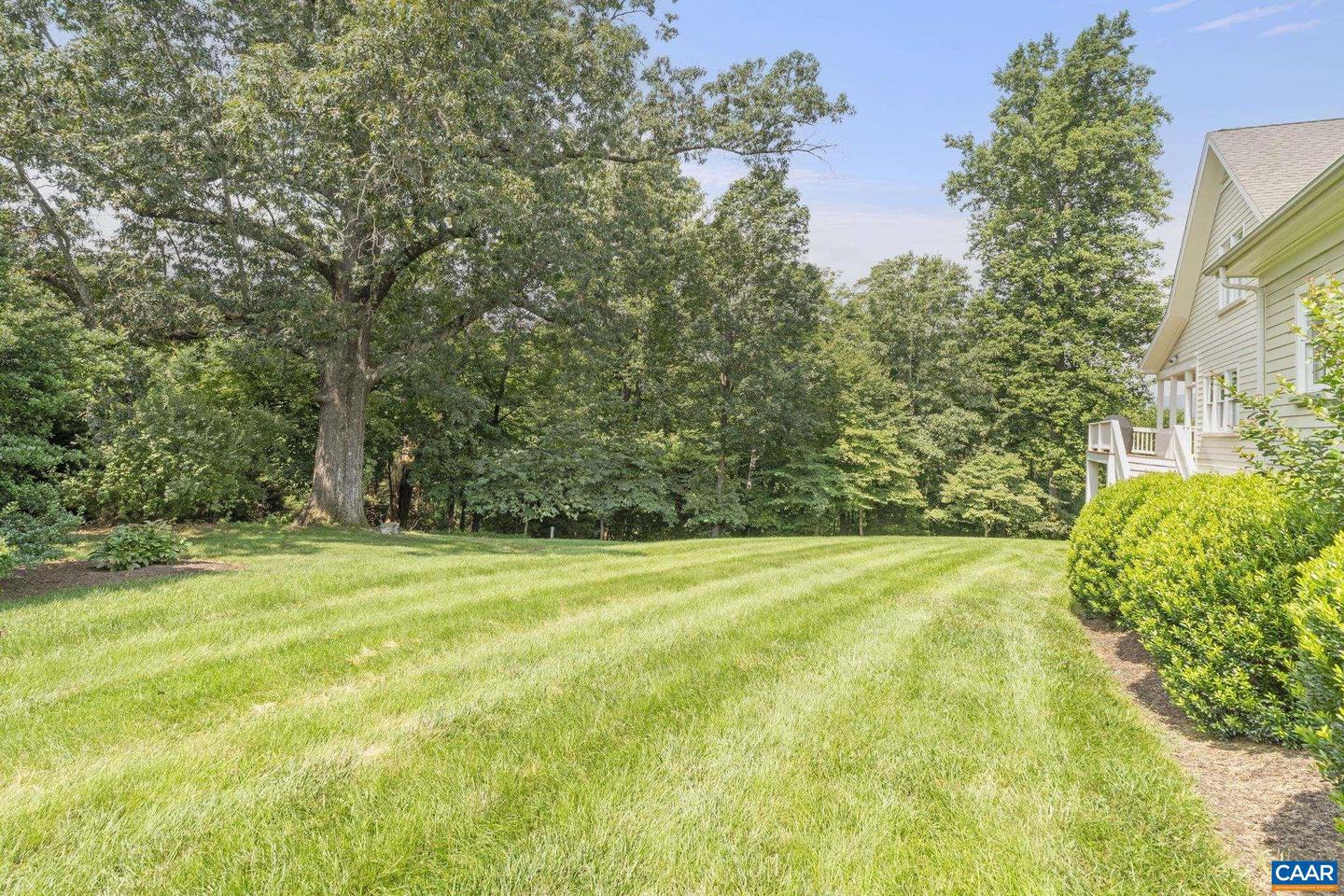 810 CARLYLE PL, CHARLOTTESVILLE, Virginia 22903, 5 Bedrooms Bedrooms, ,4 BathroomsBathrooms,Residential,For sale,810 CARLYLE PL,667271 MLS # 667271