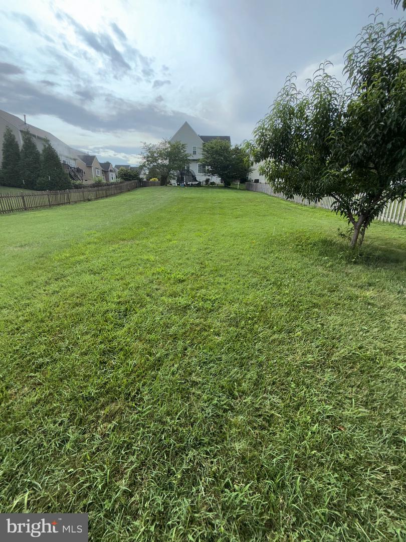 2009 SNOWBUSH CT, CULPEPER, Virginia 22701, 5 Bedrooms Bedrooms, ,3 BathroomsBathrooms,Residential,For sale,2009 SNOWBUSH CT,VACU2011044 MLS # VACU2011044