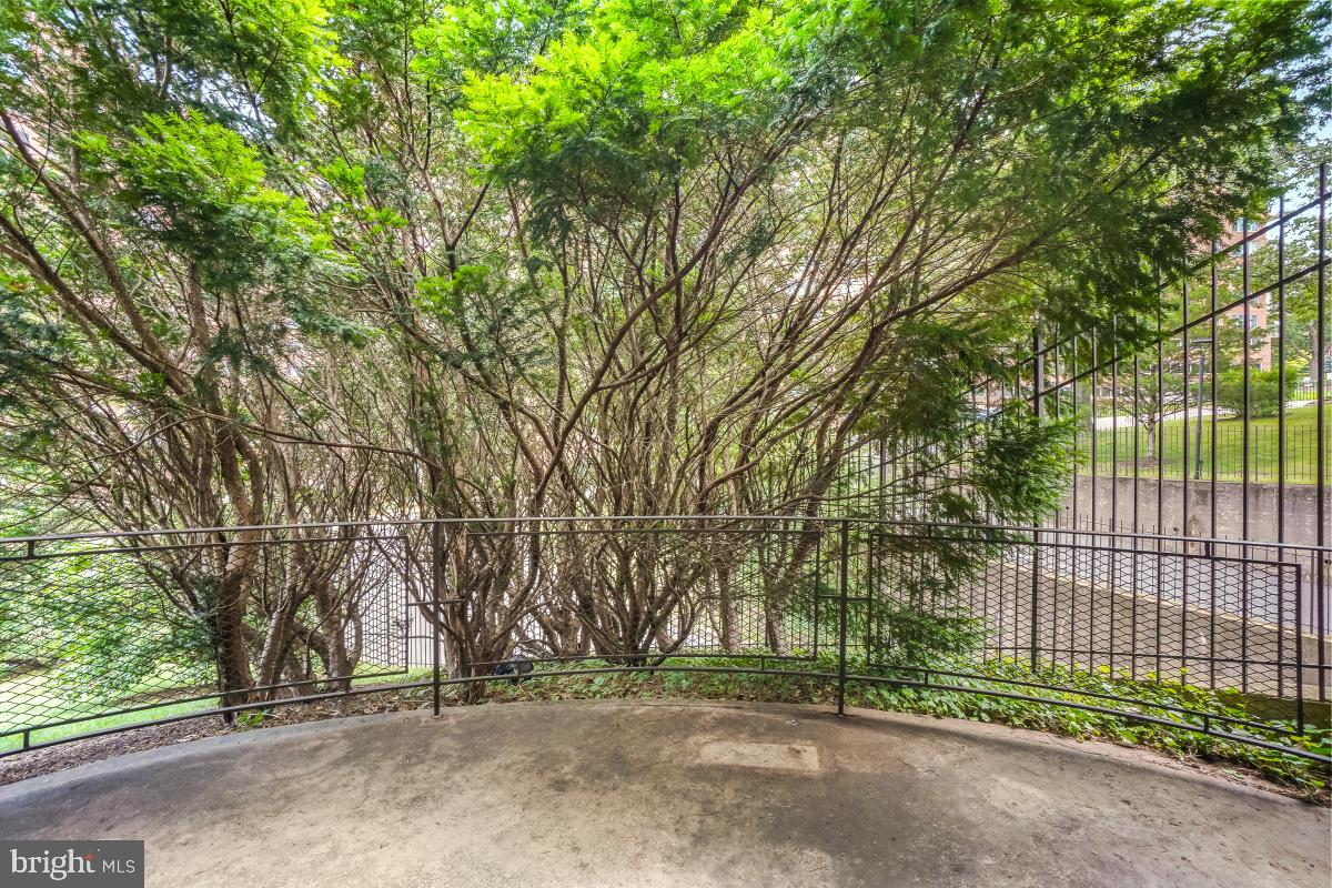4101 CATHEDRAL AVE NW #510, WASHINGTON, District Of Columbia 20016, 2 Bedrooms Bedrooms, ,2 BathroomsBathrooms,Residential,For sale,4101 CATHEDRAL AVE NW #510,DCDC2212728 MLS # DCDC2212728