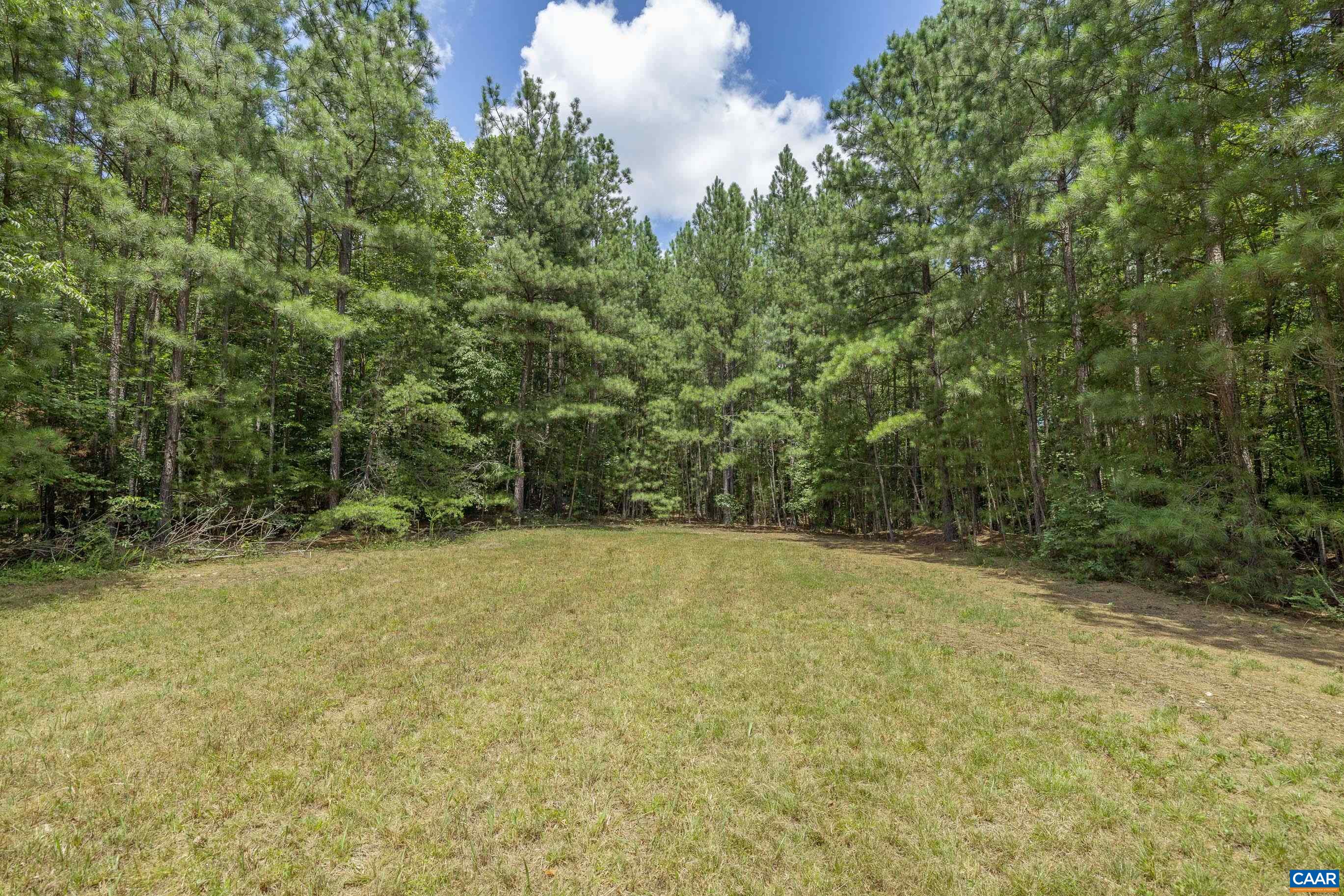 Lots 1 & 2 S CONSTITUTION RTE, SCOTTSVILLE, Virginia 24590, ,Land,Lots 1 & 2 S CONSTITUTION RTE,667263 MLS # 667263