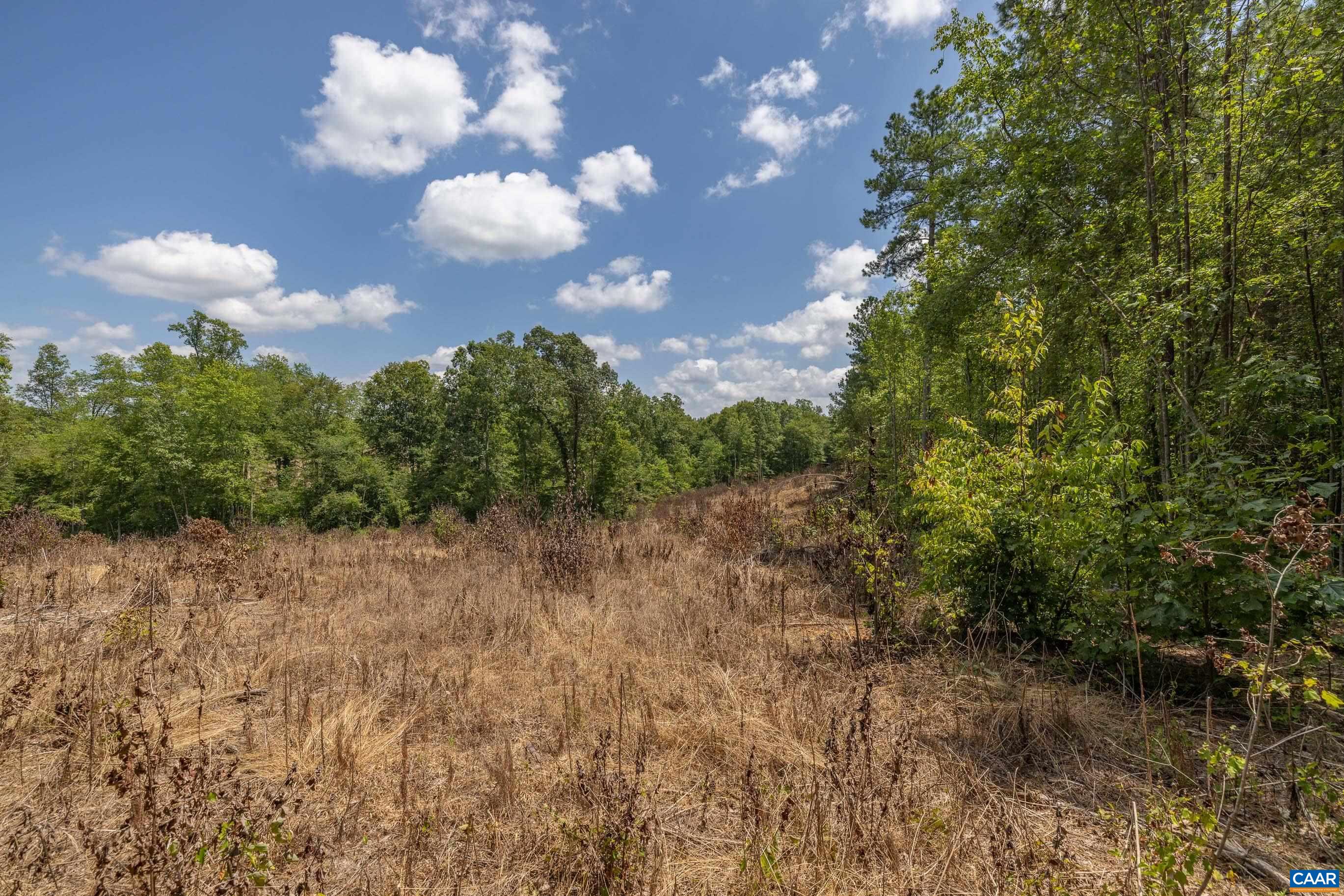 Lots 1 & 2 S CONSTITUTION RTE, SCOTTSVILLE, Virginia 24590, ,Land,Lots 1 & 2 S CONSTITUTION RTE,667263 MLS # 667263