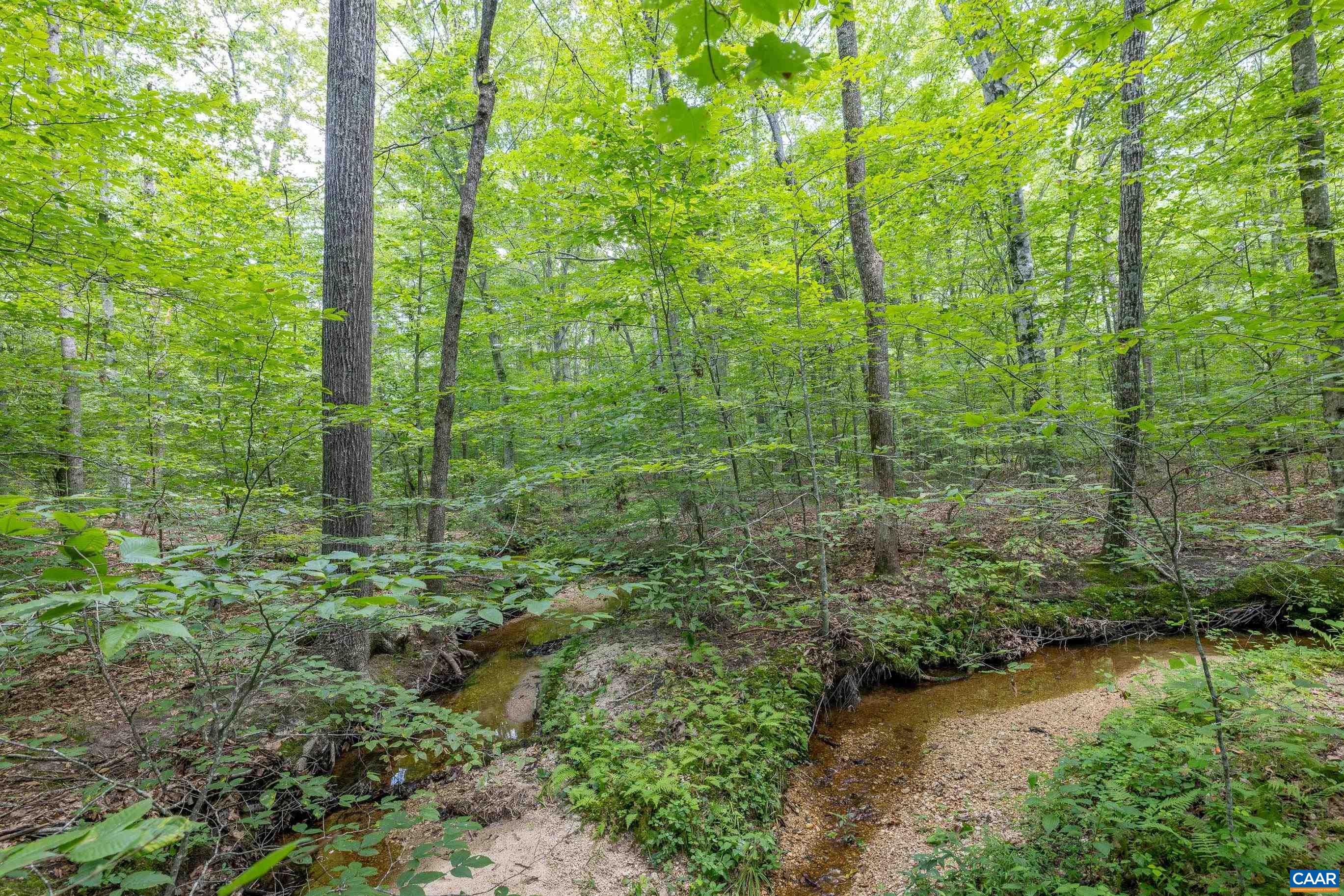 Lots 1 & 2 S CONSTITUTION RTE, SCOTTSVILLE, Virginia 24590, ,Land,Lots 1 & 2 S CONSTITUTION RTE,667263 MLS # 667263