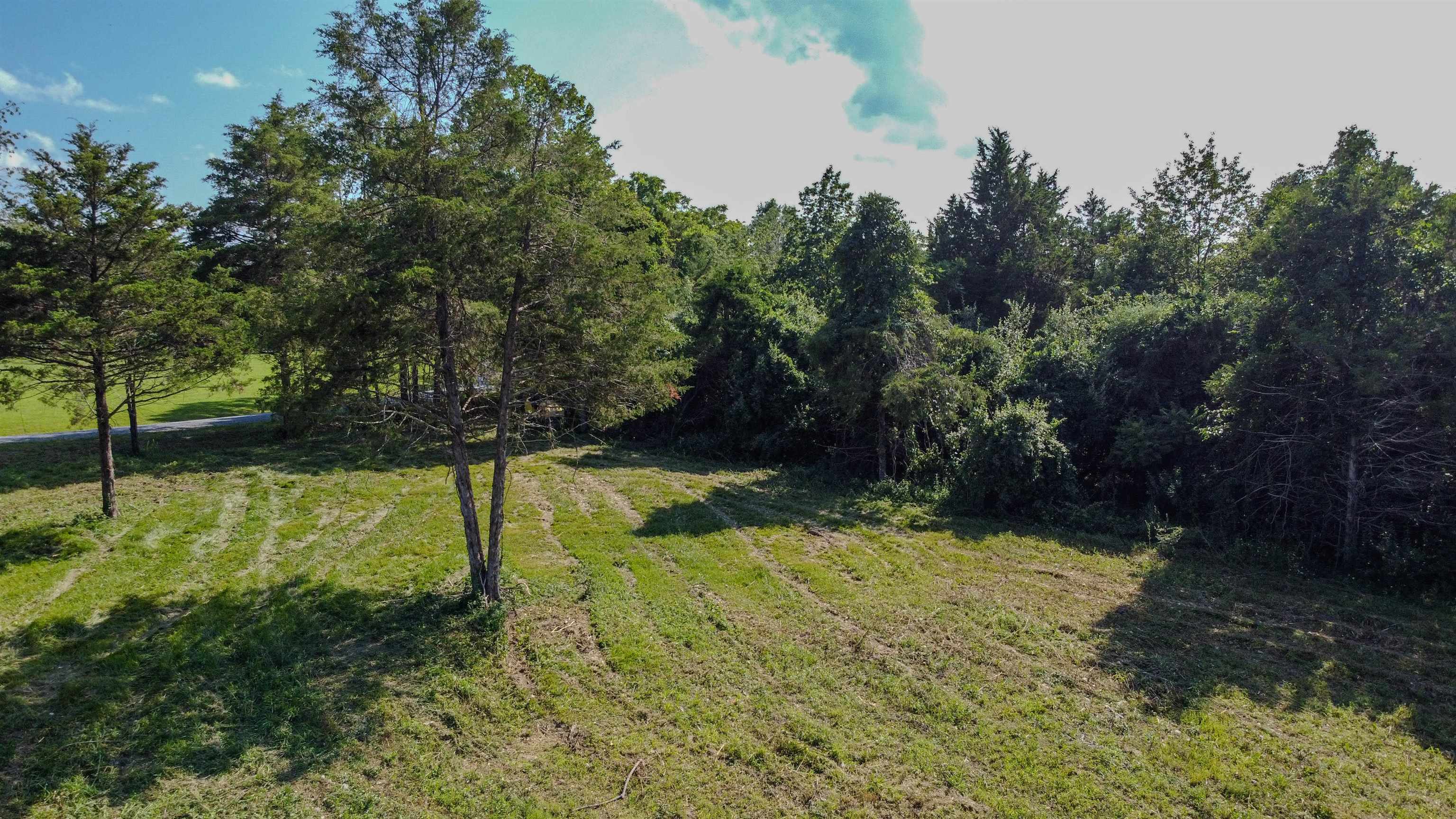 0 HARPER VALLEY RD, LURAY, Virginia 22835, ,Land,0 HARPER VALLEY RD,667297 MLS # 667297