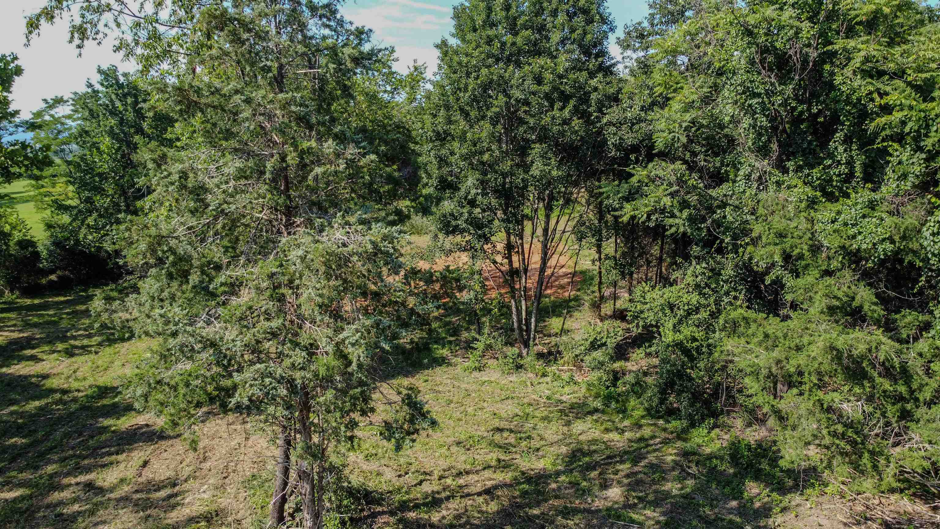 0 HARPER VALLEY RD, LURAY, Virginia 22835, ,Land,0 HARPER VALLEY RD,667297 MLS # 667297