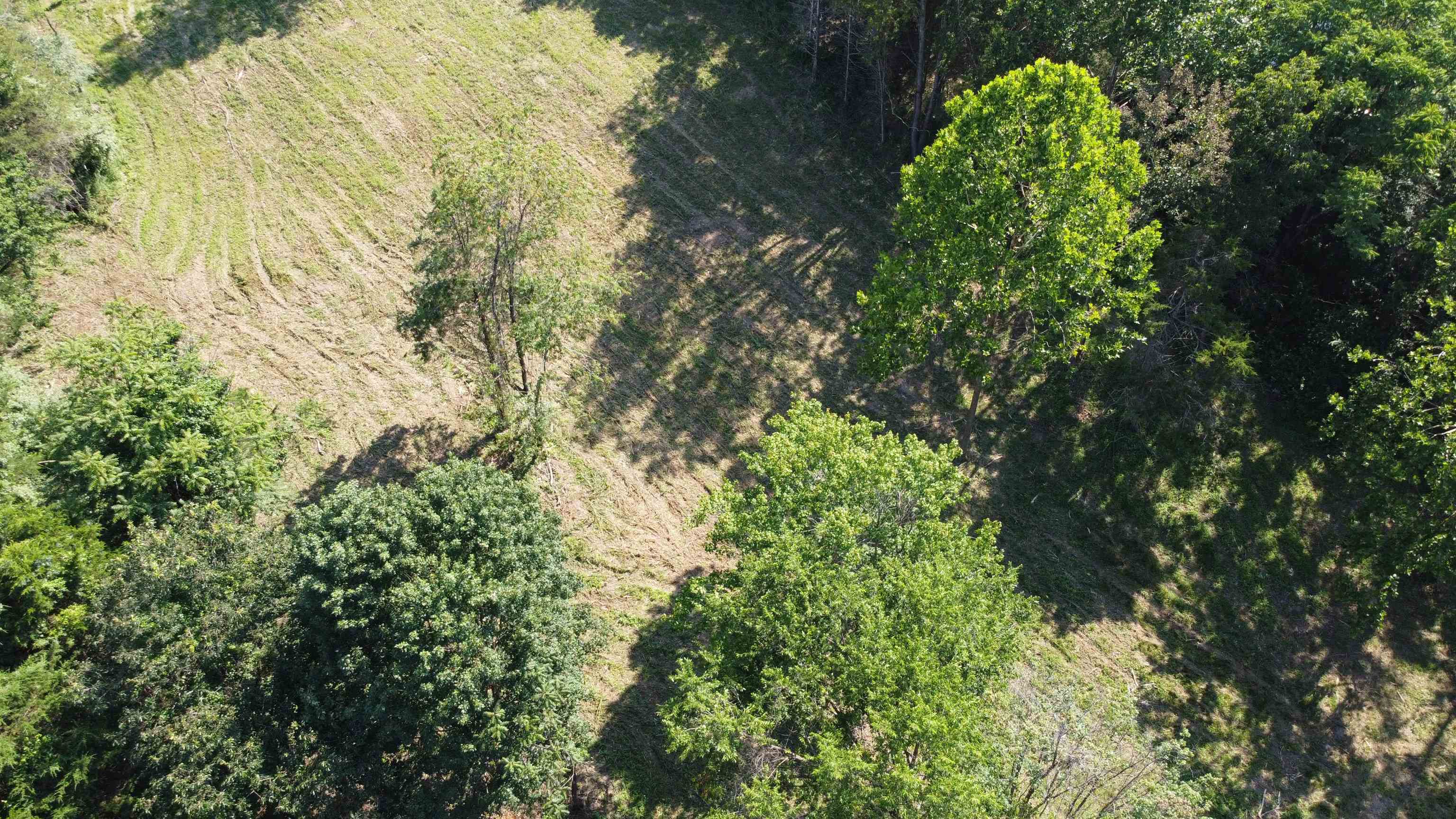0 HARPER VALLEY RD, LURAY, Virginia 22835, ,Land,0 HARPER VALLEY RD,667297 MLS # 667297