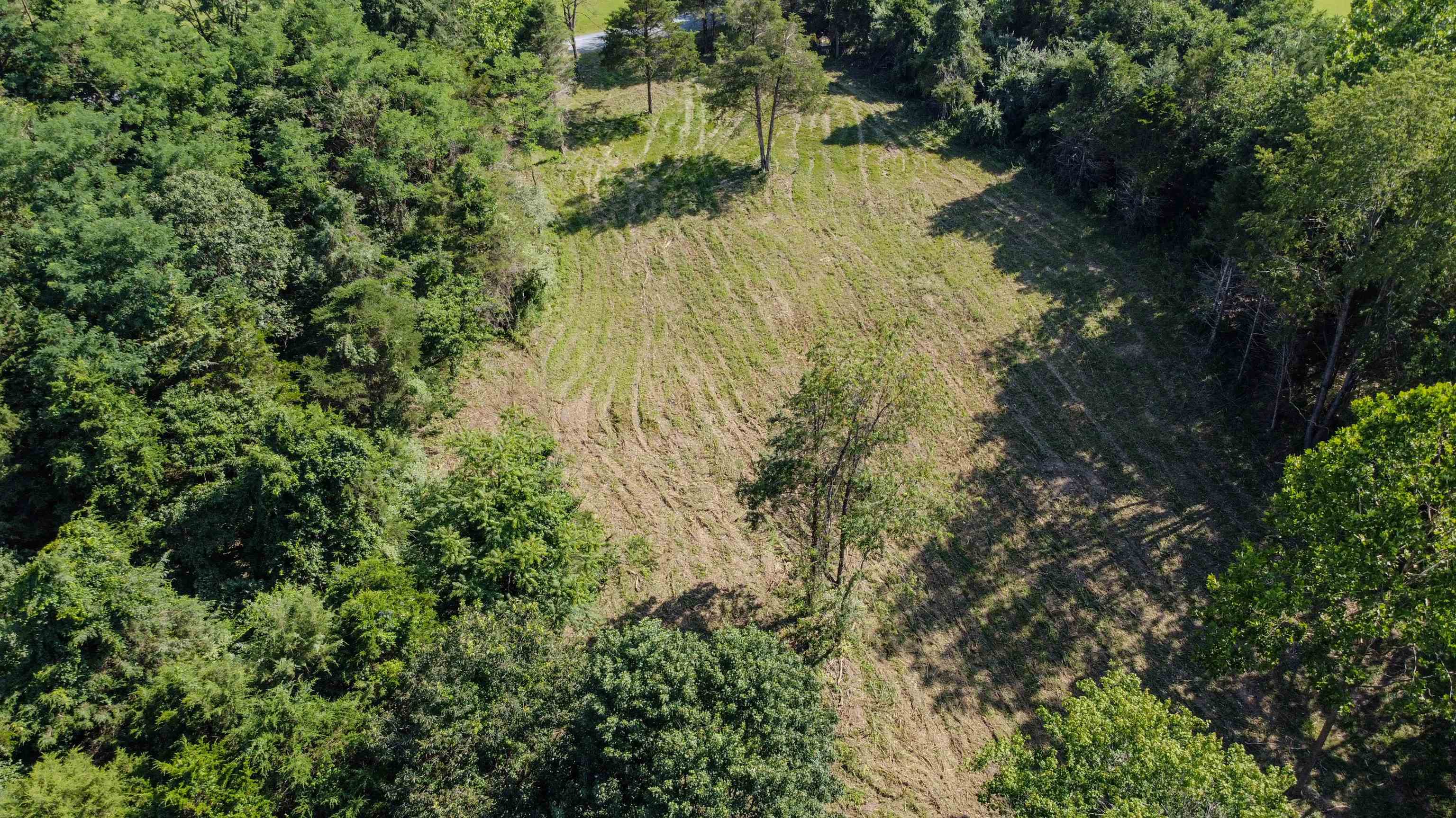 0 HARPER VALLEY RD, LURAY, Virginia 22835, ,Land,0 HARPER VALLEY RD,667297 MLS # 667297