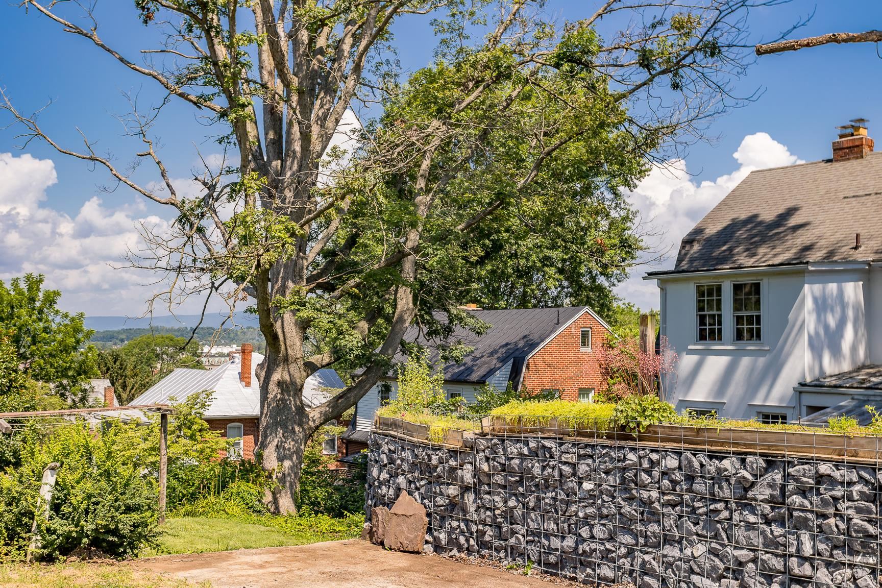 355-357 FRANKLIN ST, HARRISONBURG, Virginia 22801, 6 Bedrooms Bedrooms, ,2 BathroomsBathrooms,Residential,355-357 FRANKLIN ST,667291 MLS # 667291