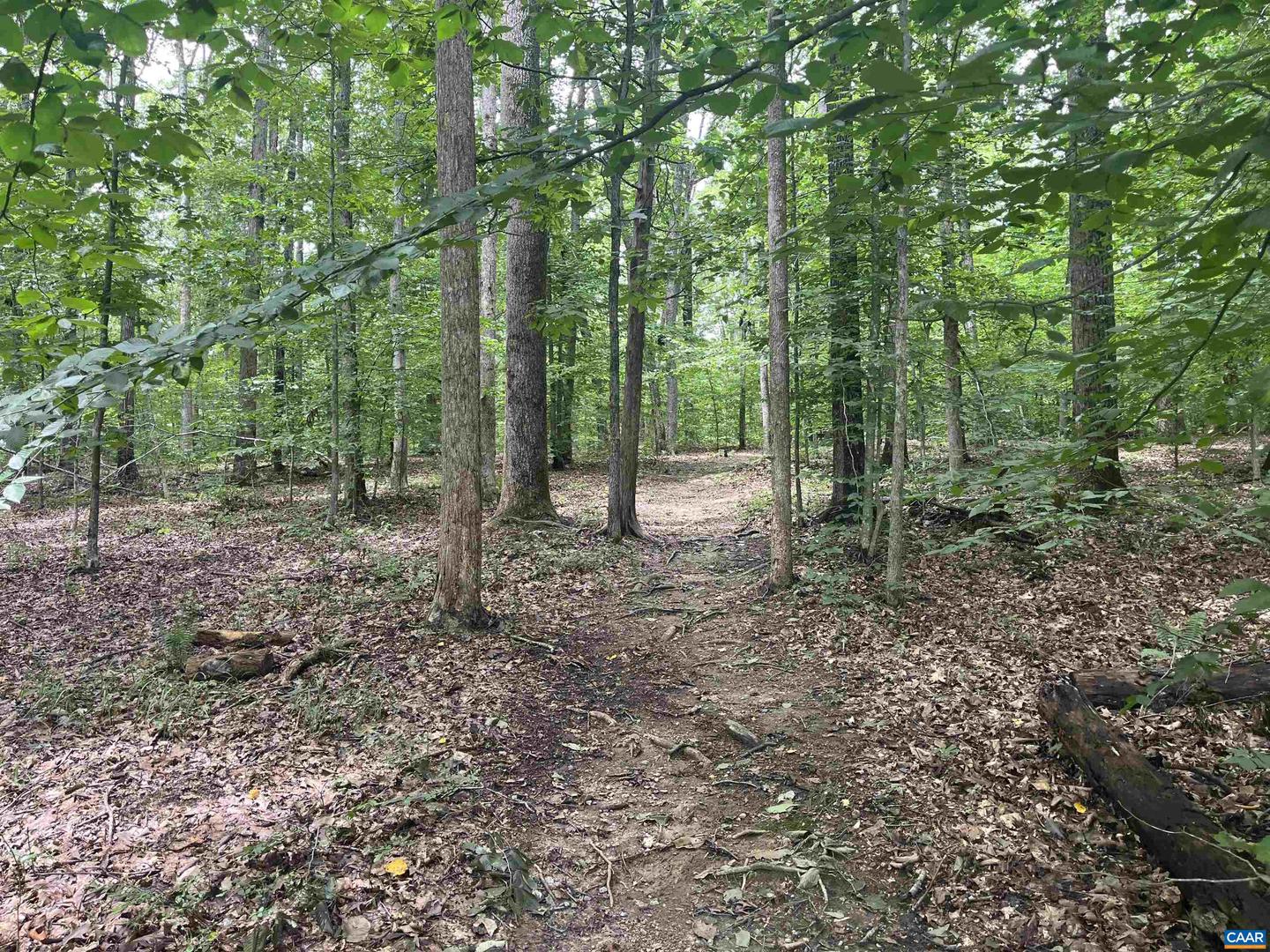 242 BOWLERS MILL LN, GORDONSVILLE, Virginia 22942, 3 Bedrooms Bedrooms, ,2 BathroomsBathrooms,Residential,For sale,242 BOWLERS MILL LN,667300 MLS # 667300