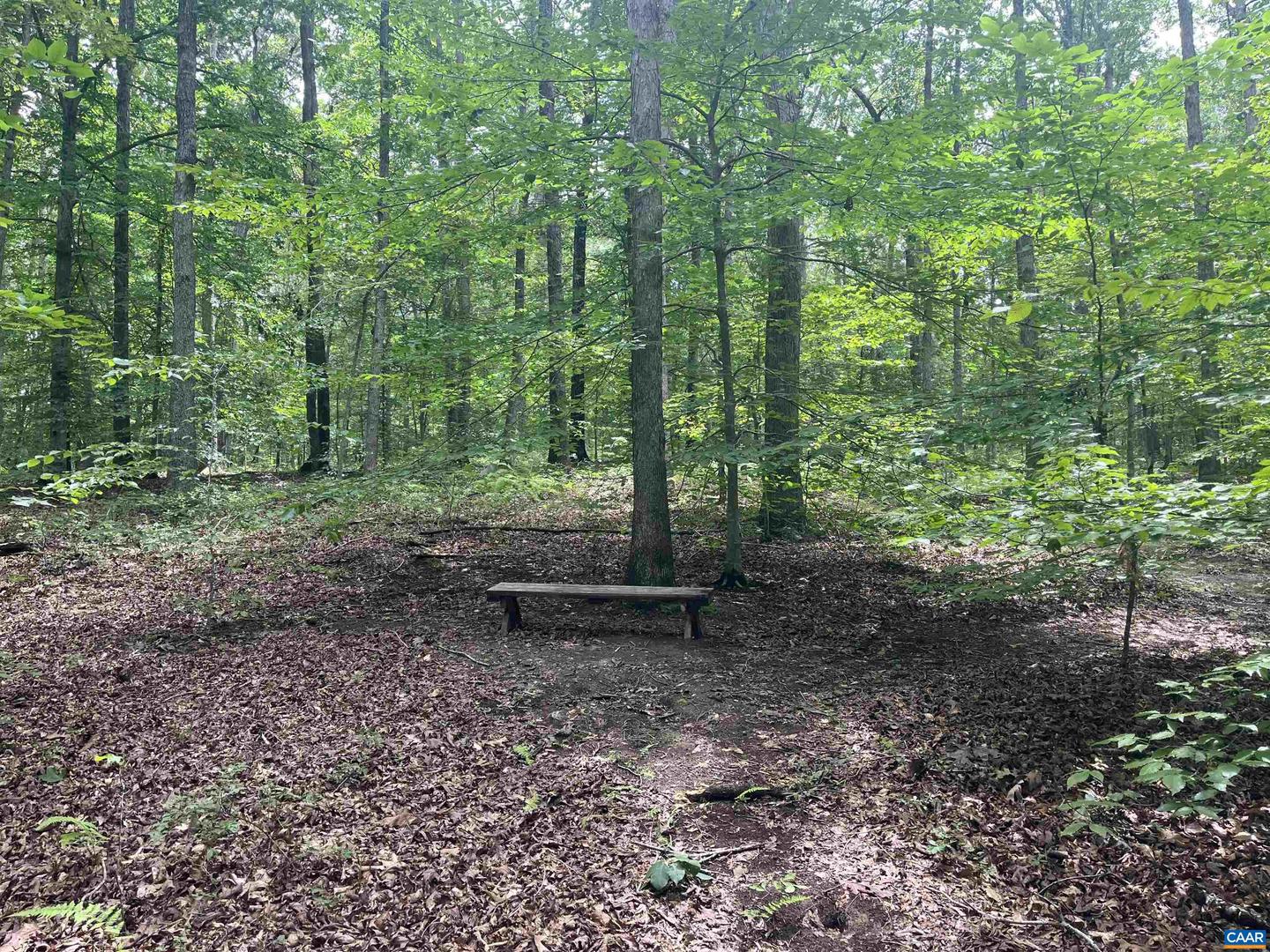 242 BOWLERS MILL LN, GORDONSVILLE, Virginia 22942, 3 Bedrooms Bedrooms, ,2 BathroomsBathrooms,Residential,For sale,242 BOWLERS MILL LN,667300 MLS # 667300