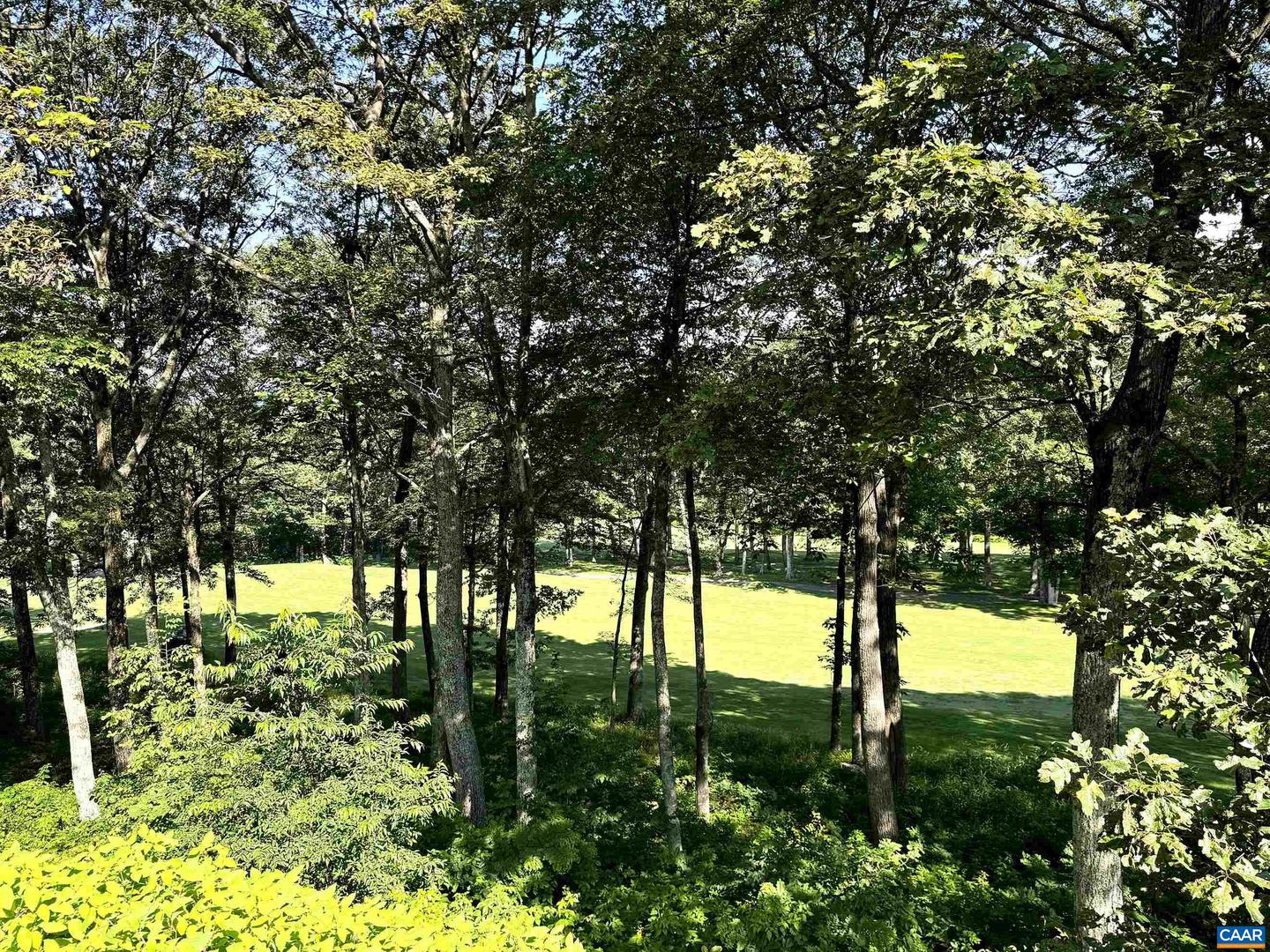 2046 STONE RIDGE CONDOS, WINTERGREEN RESORT, Virginia 22967, 3 Bedrooms Bedrooms, ,3 BathroomsBathrooms,Residential,For sale,2046 STONE RIDGE CONDOS,667306 MLS # 667306