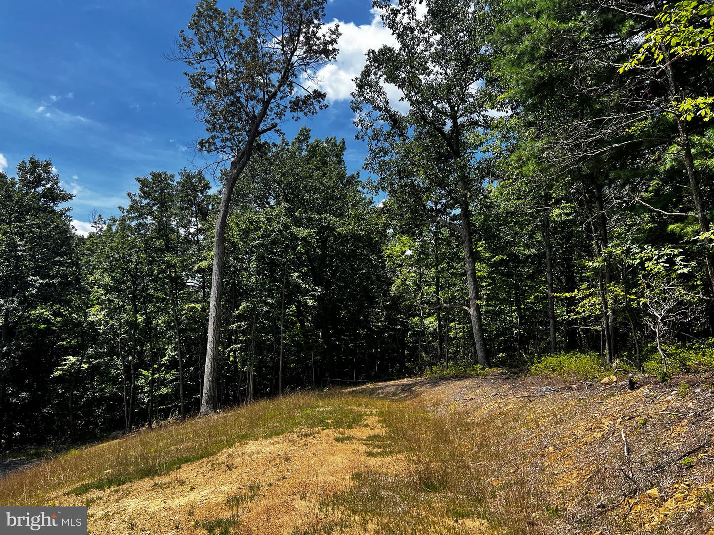 MARKHAM FARM RD, FRONT ROYAL, Virginia 22630, ,Land,For sale,MARKHAM FARM RD,VAWR2011858 MLS # VAWR2011858